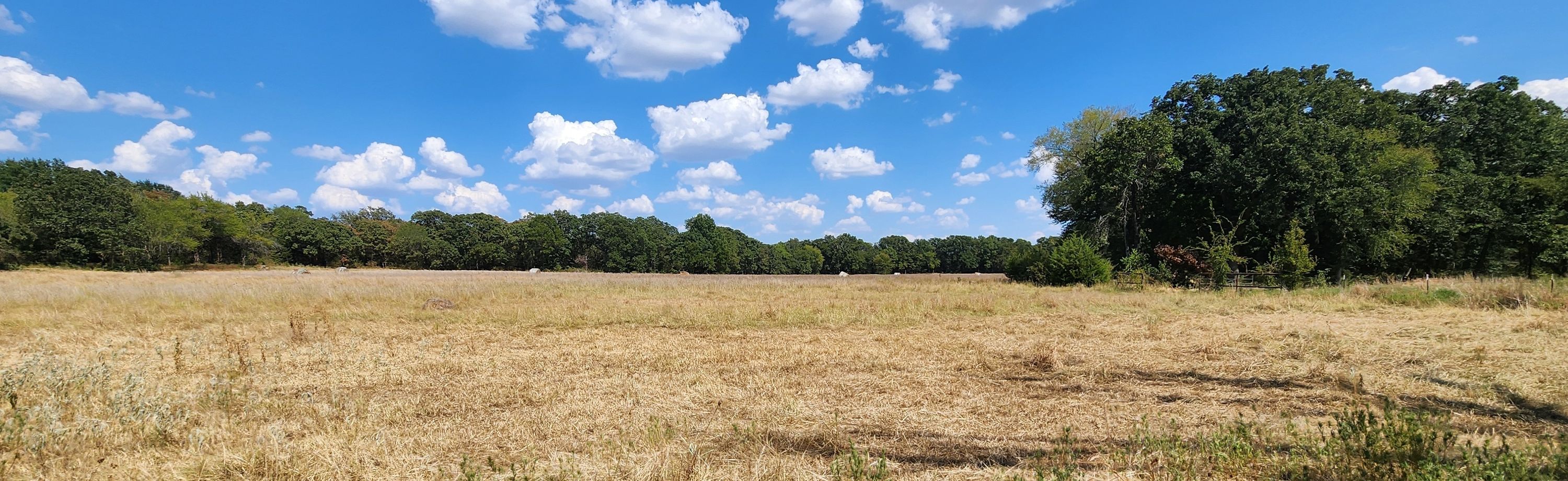 Arnett Road Property Photo 83