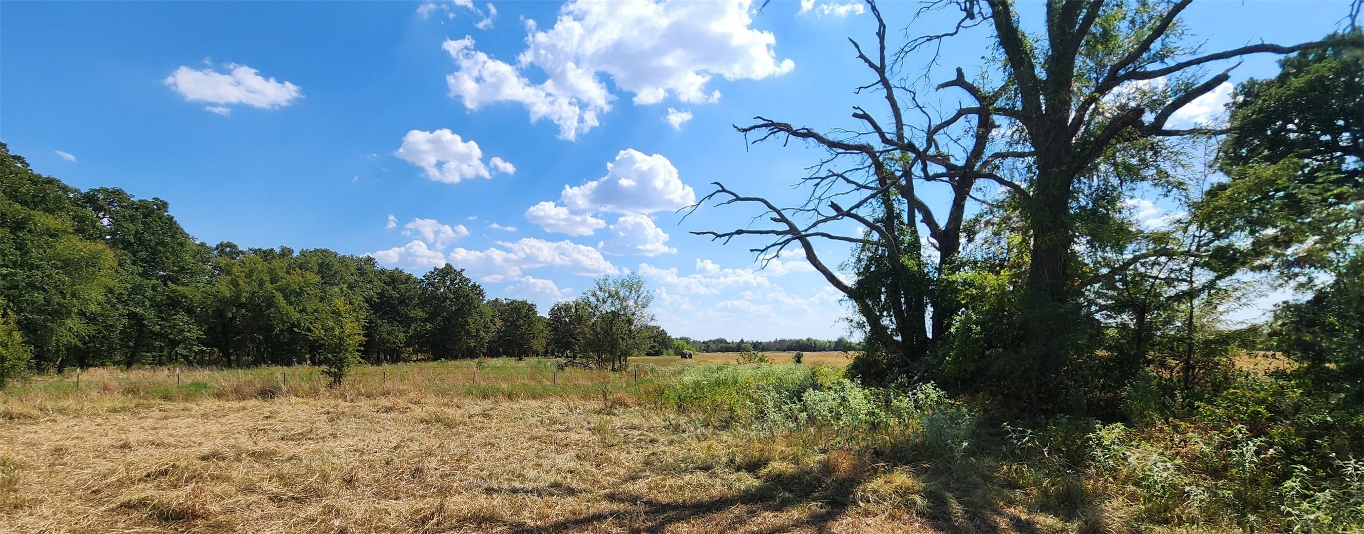 Arnett Road Property Photo 84
