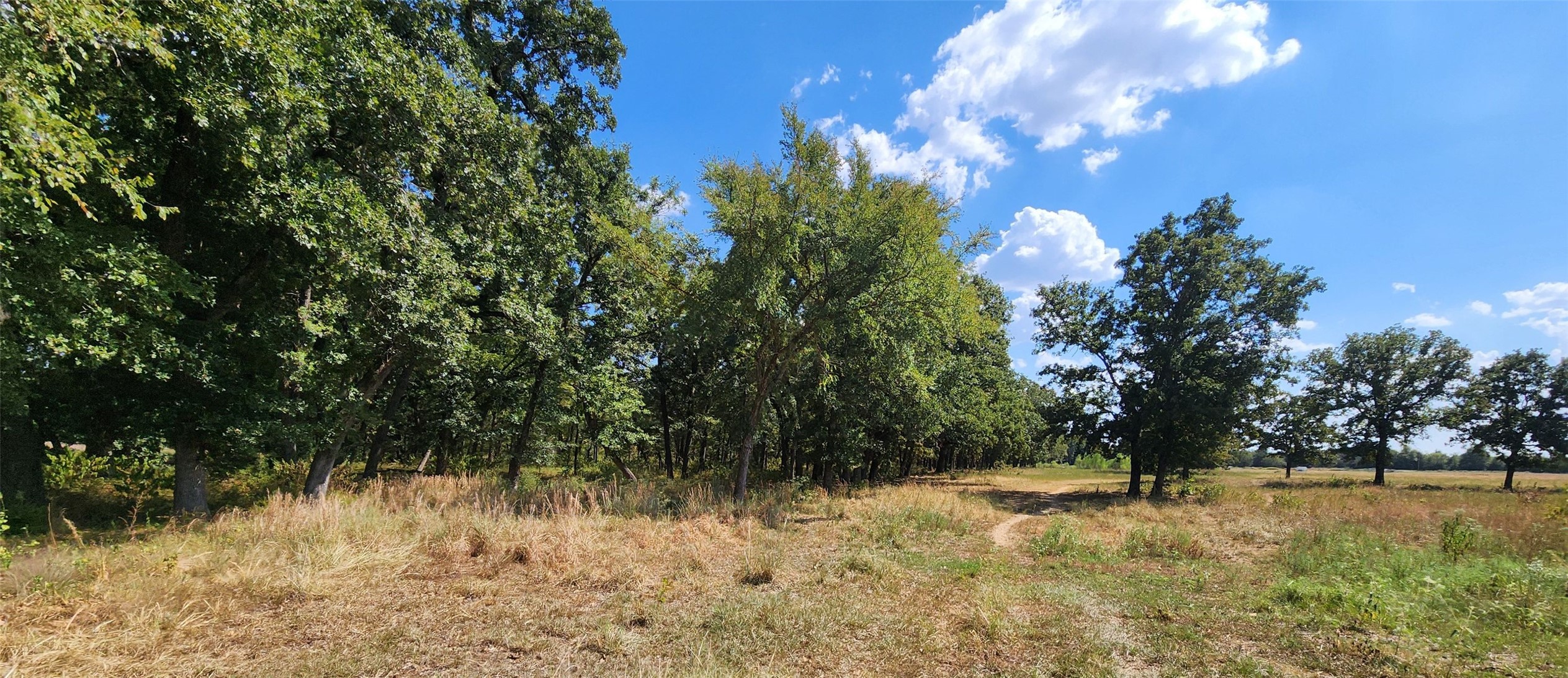 Arnett Road Property Photo 87