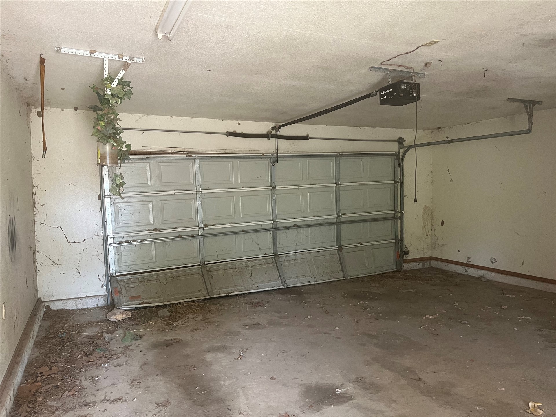 1006 Jahrman Place Property Photo 15
