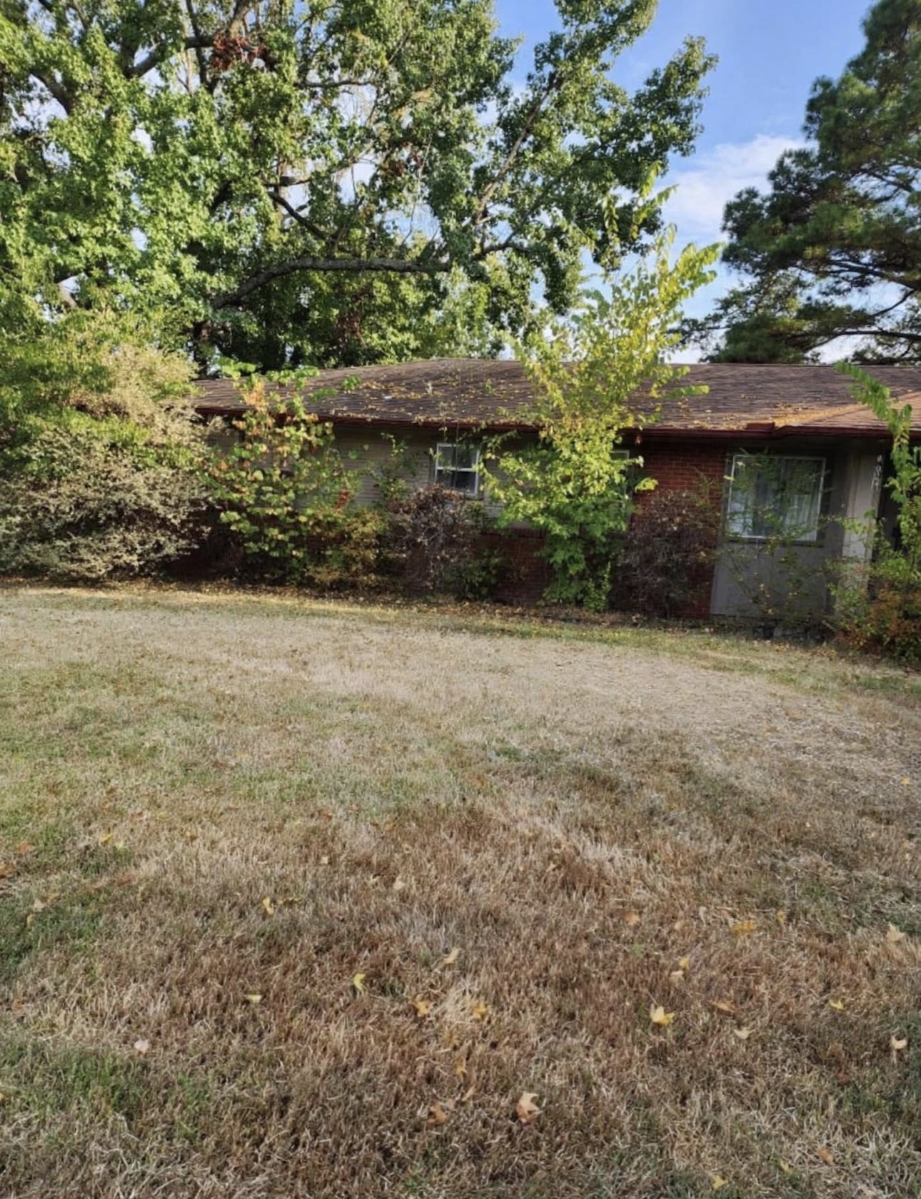 1210 E Duke Street Property Photo 2
