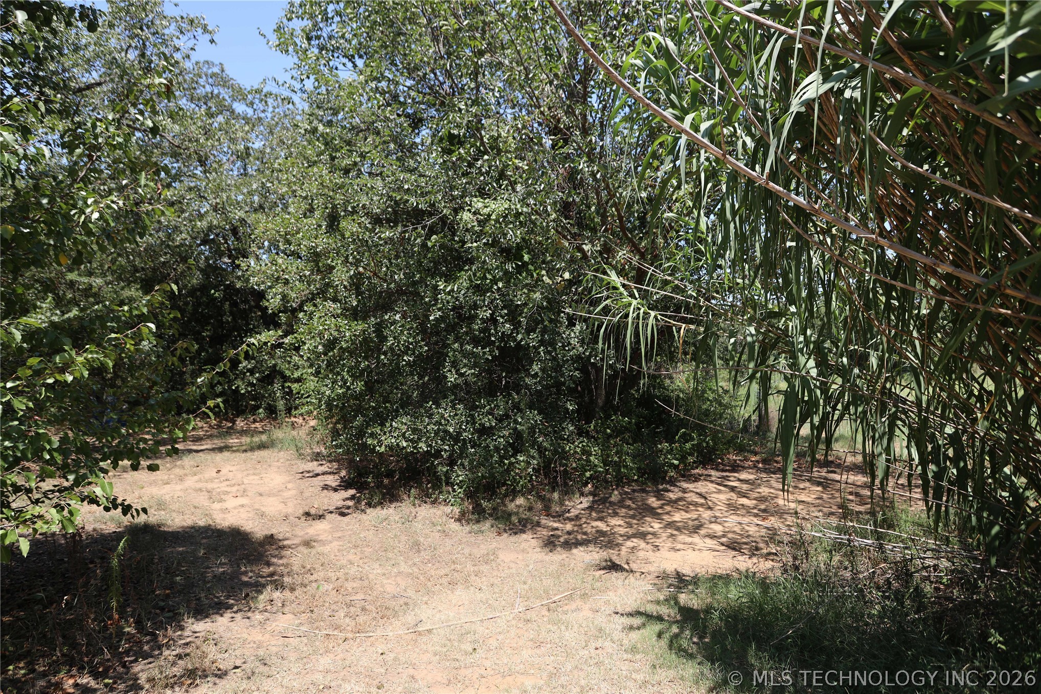 701 Young Road Property Photo 44