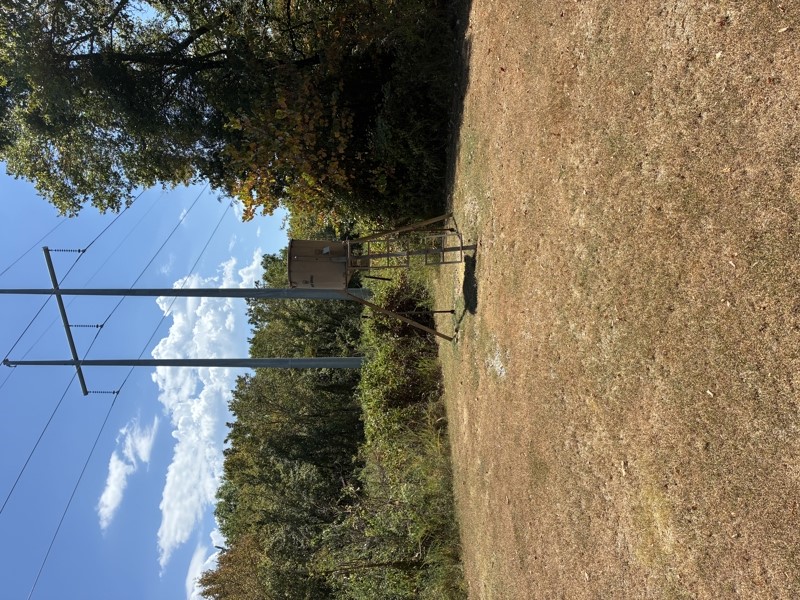 161416 Hwy 2 Property Photo 34