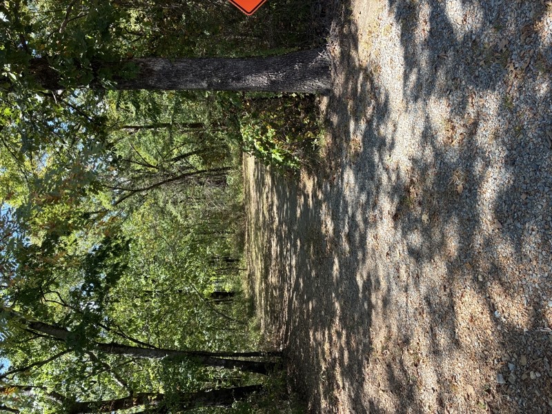 161416 Hwy 2 Property Photo 35