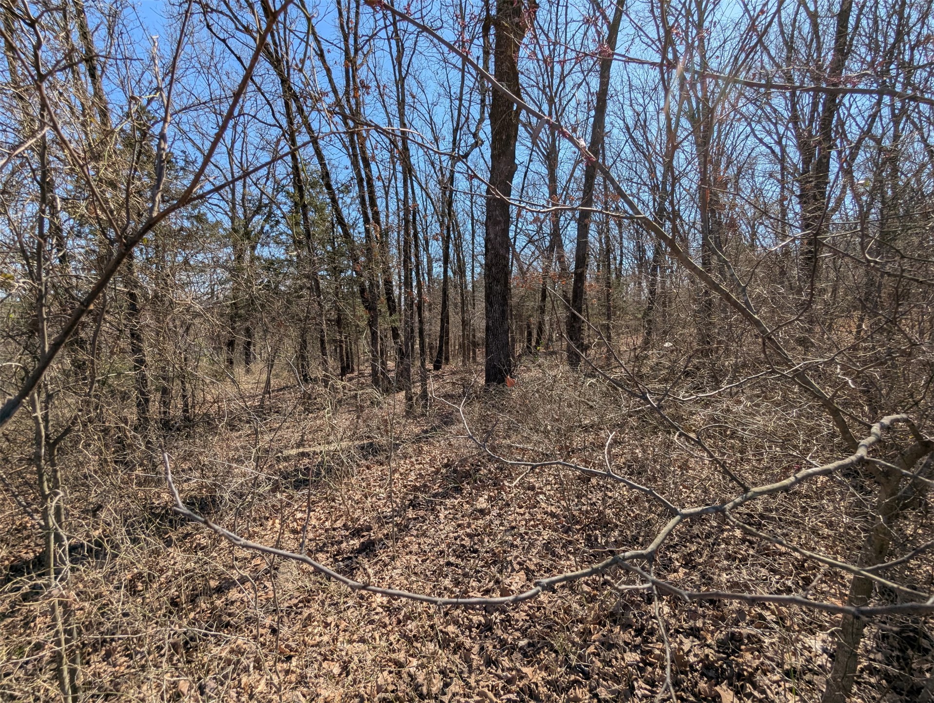 Woodward Circle Property Photo 2