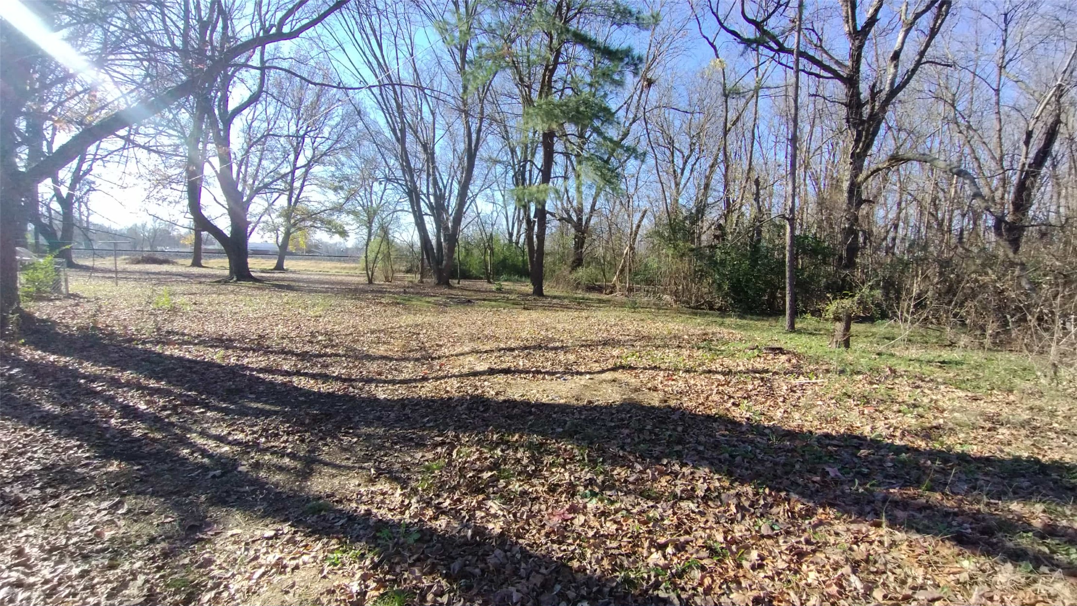 1358 Shady Lane Property Photo 20