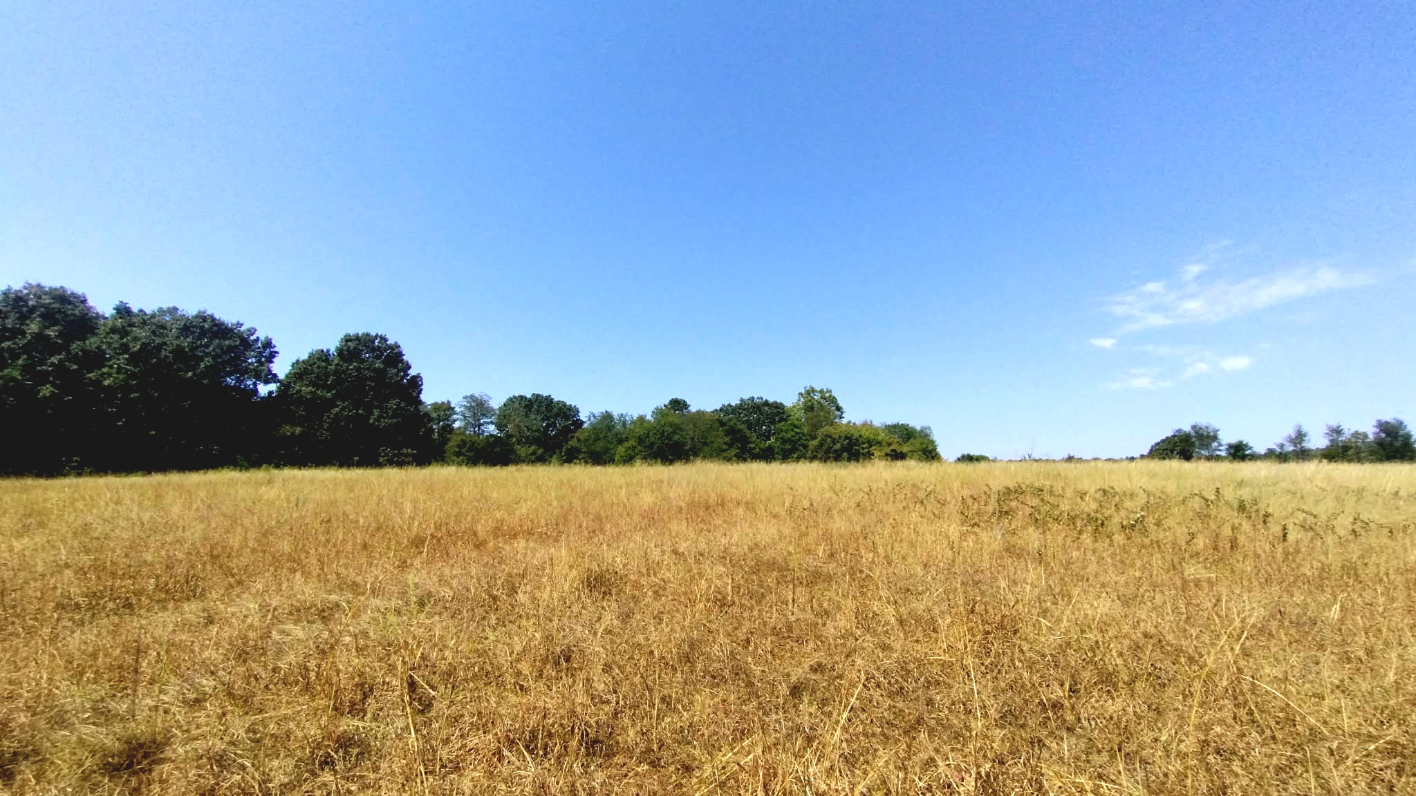 467353 W Hwy 62 Property Photo 35