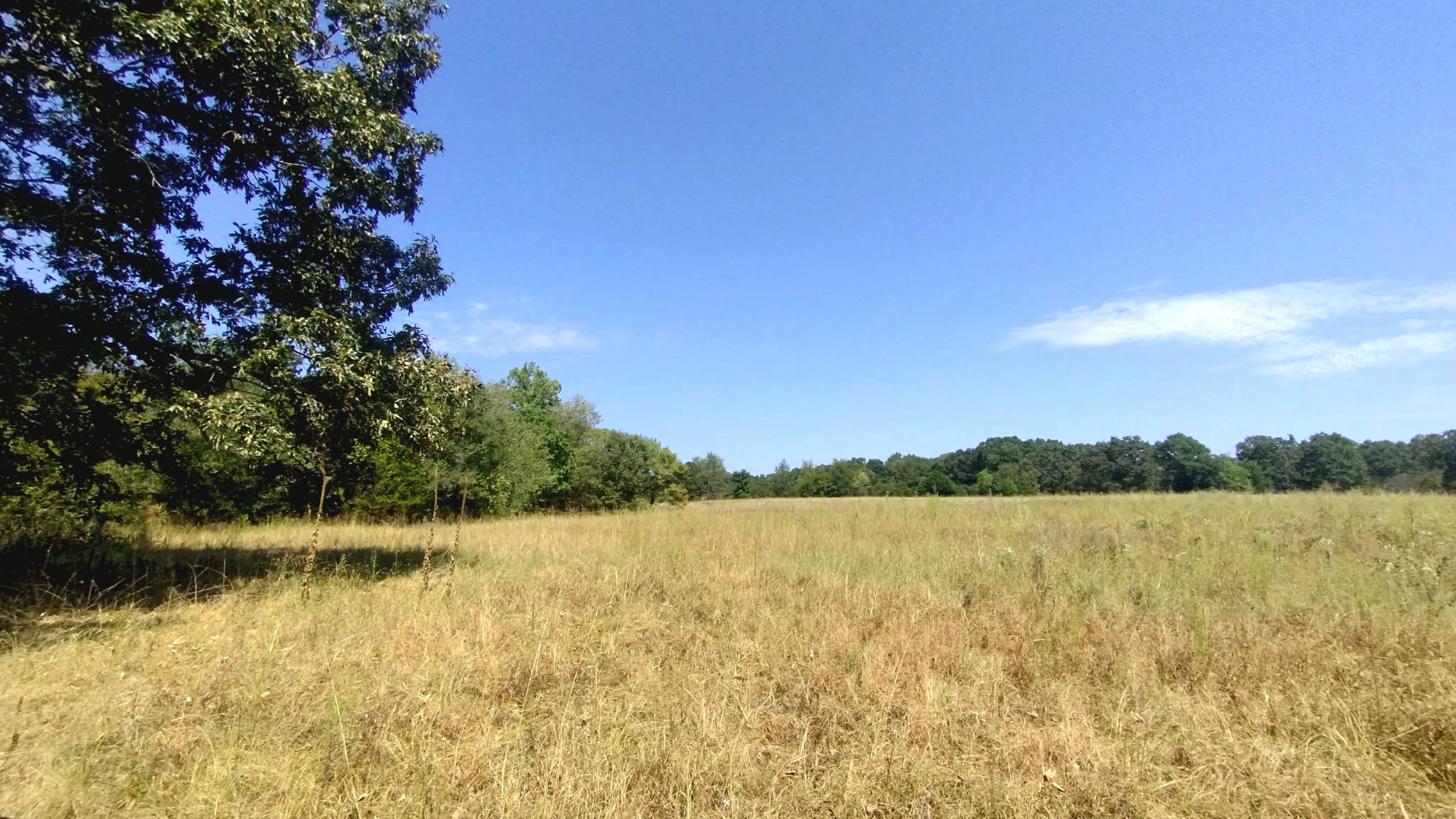 467353 W Hwy 62 Property Photo 36