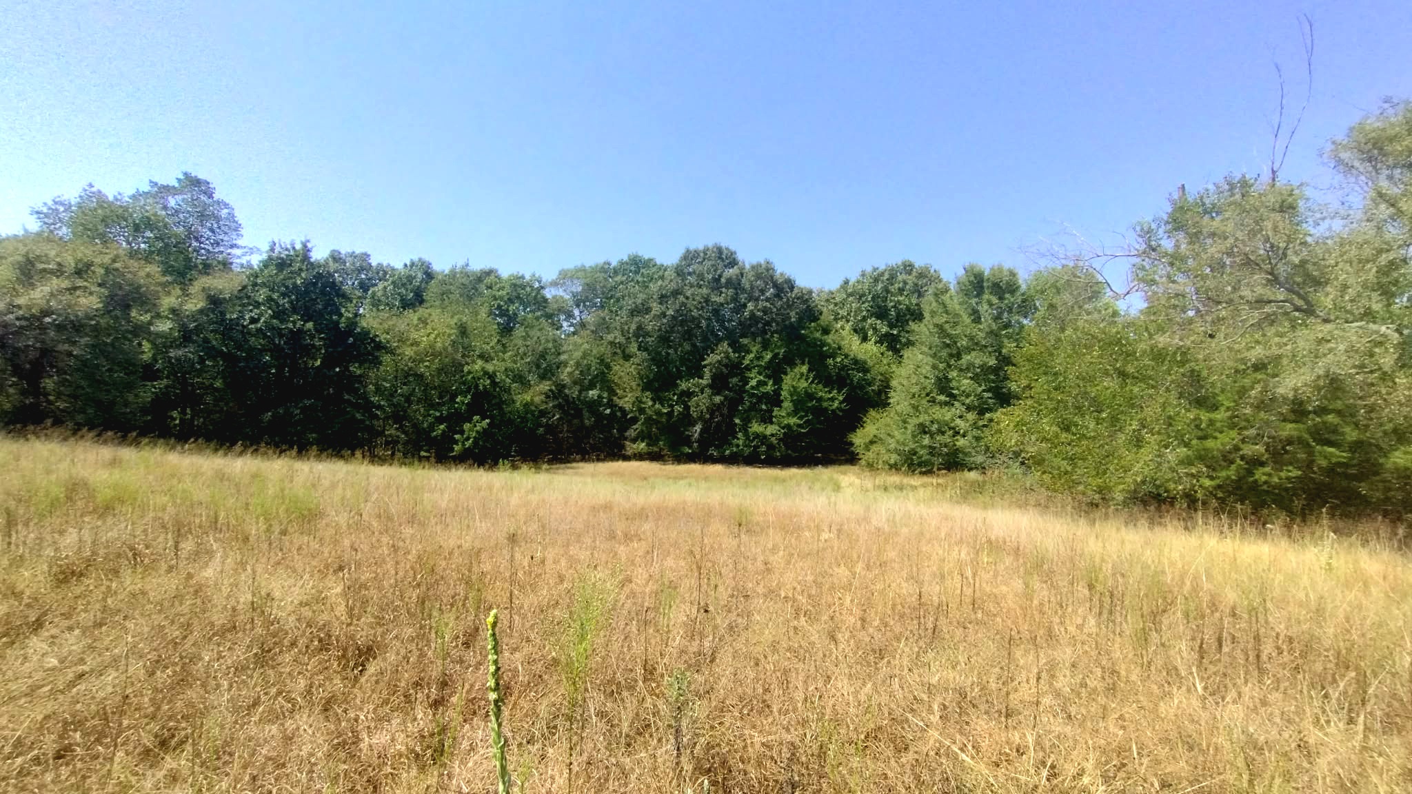 467353 W Hwy 62 Property Photo 38