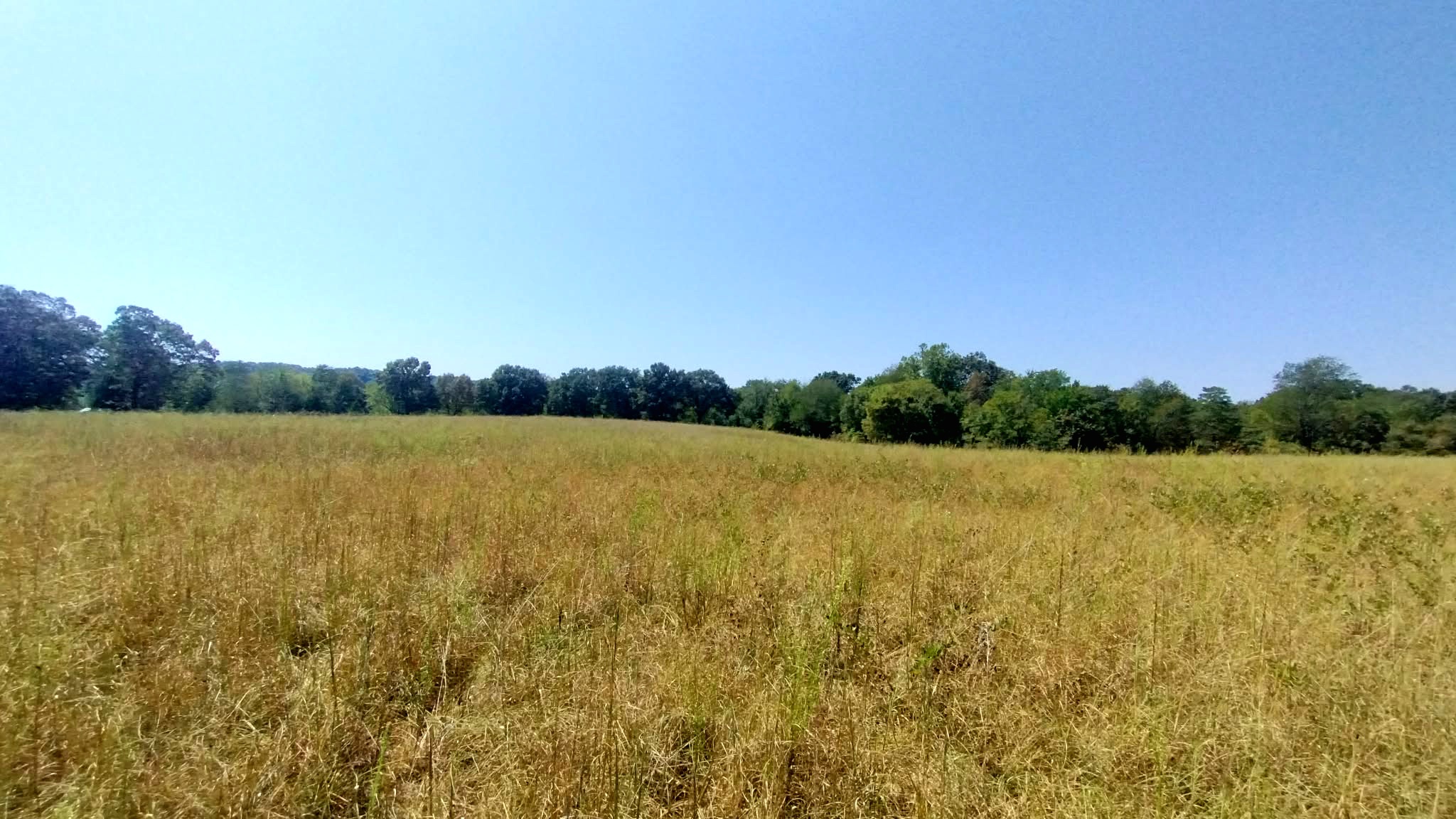 467353 W Hwy 62 Property Photo 39