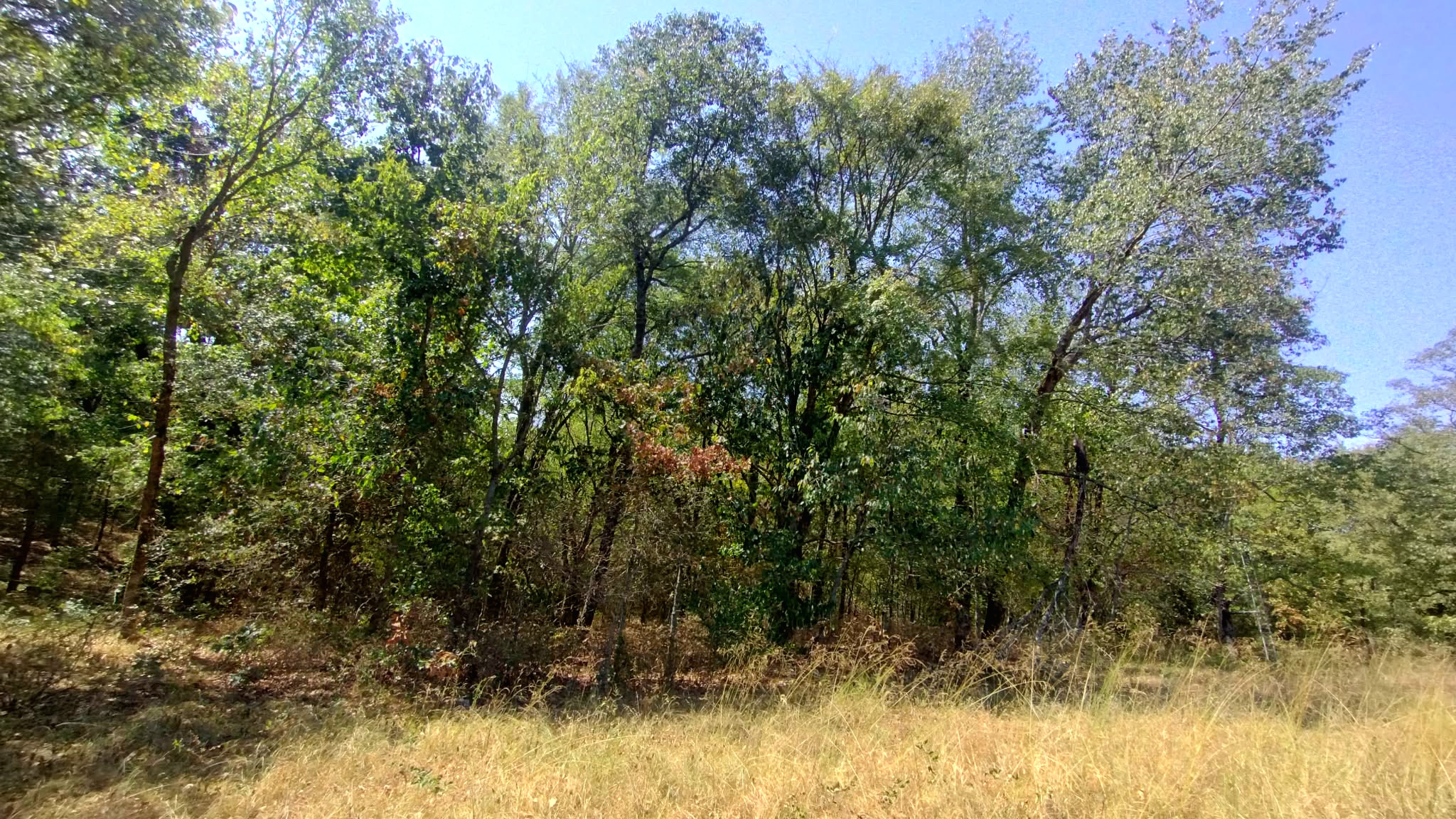 467353 W Hwy 62 Property Photo 40