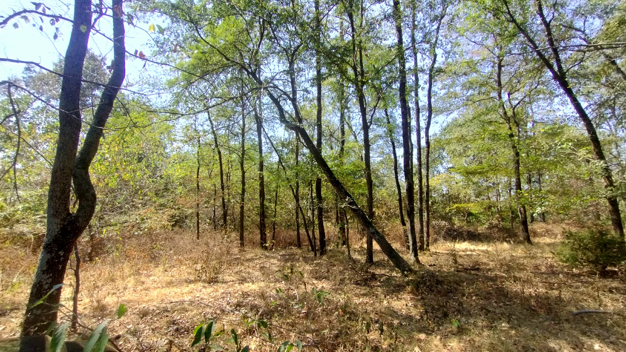 467353 W Hwy 62 Property Photo 41