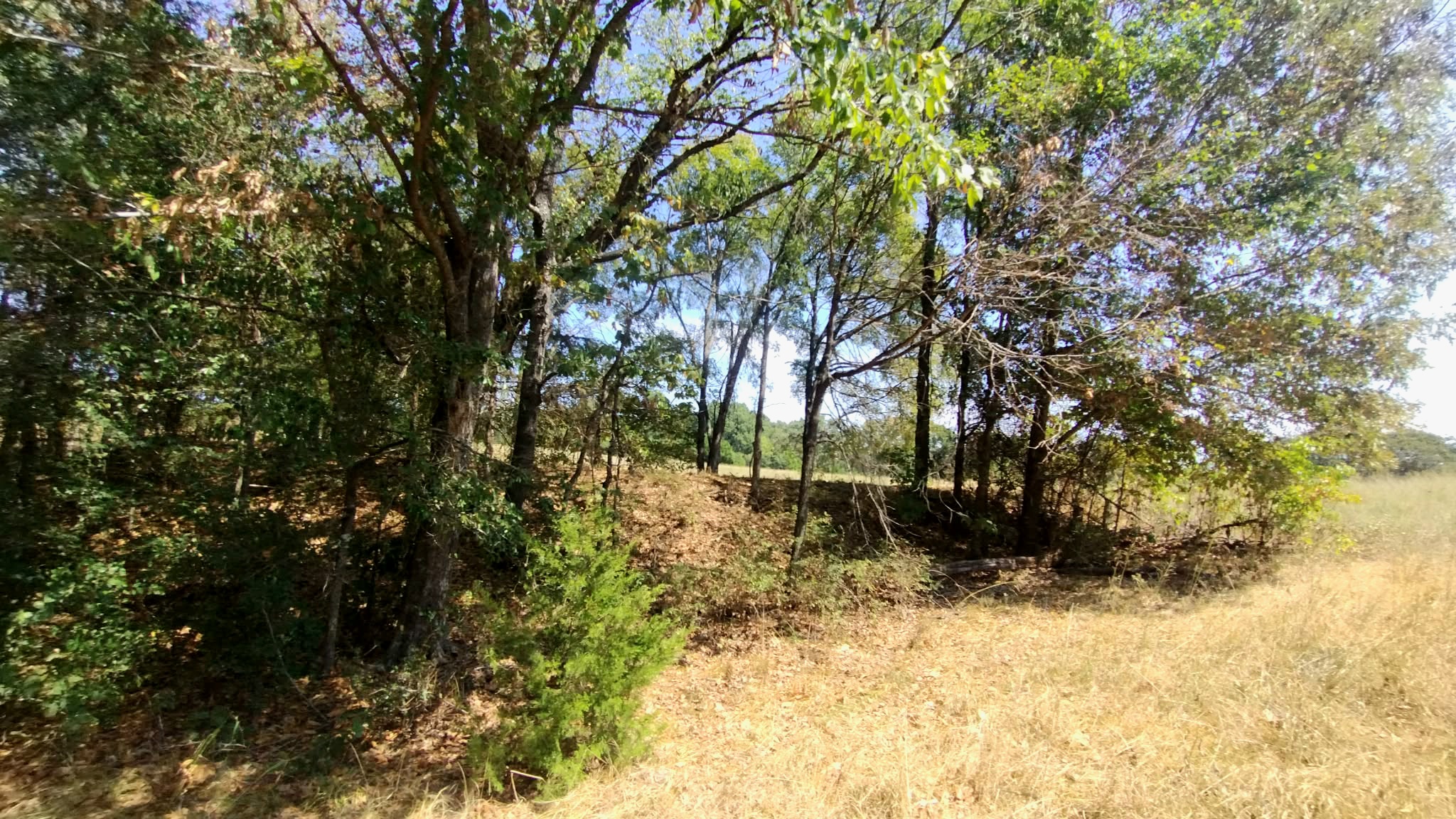 467353 W Hwy 62 Property Photo 42