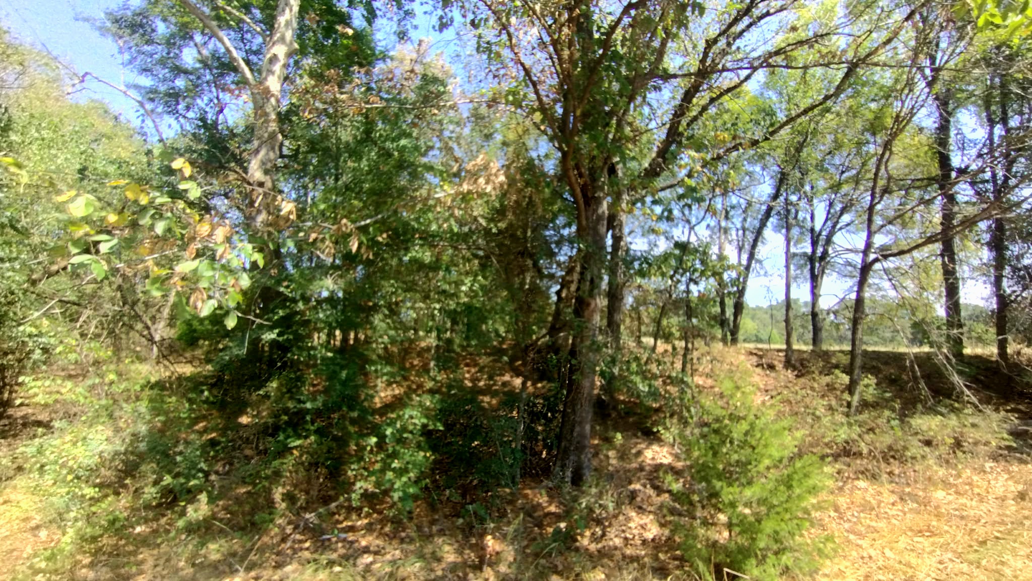 467353 W Hwy 62 Property Photo 43