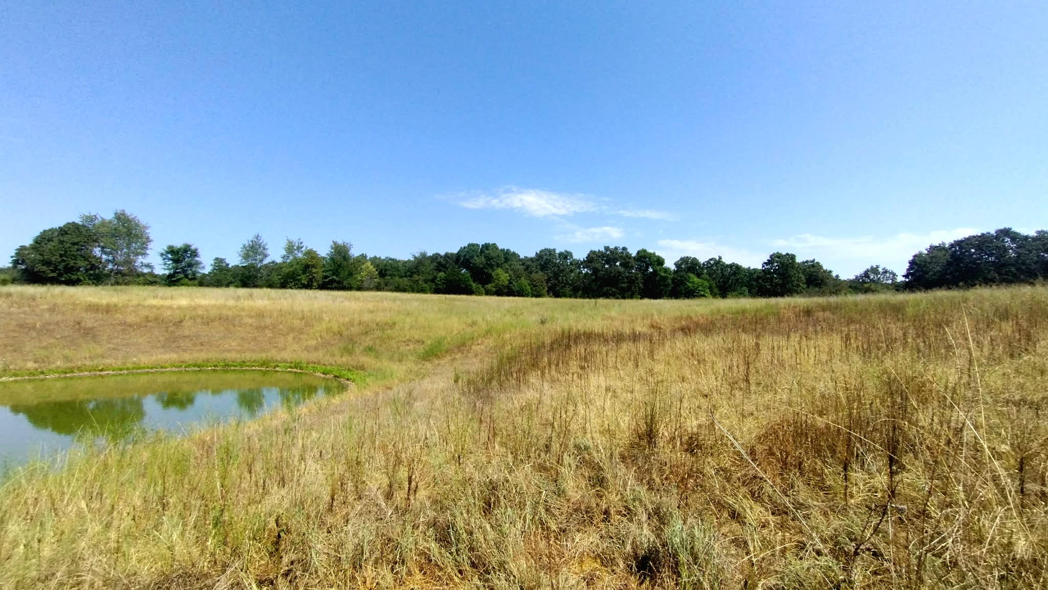 467353 W Hwy 62 Property Photo 46