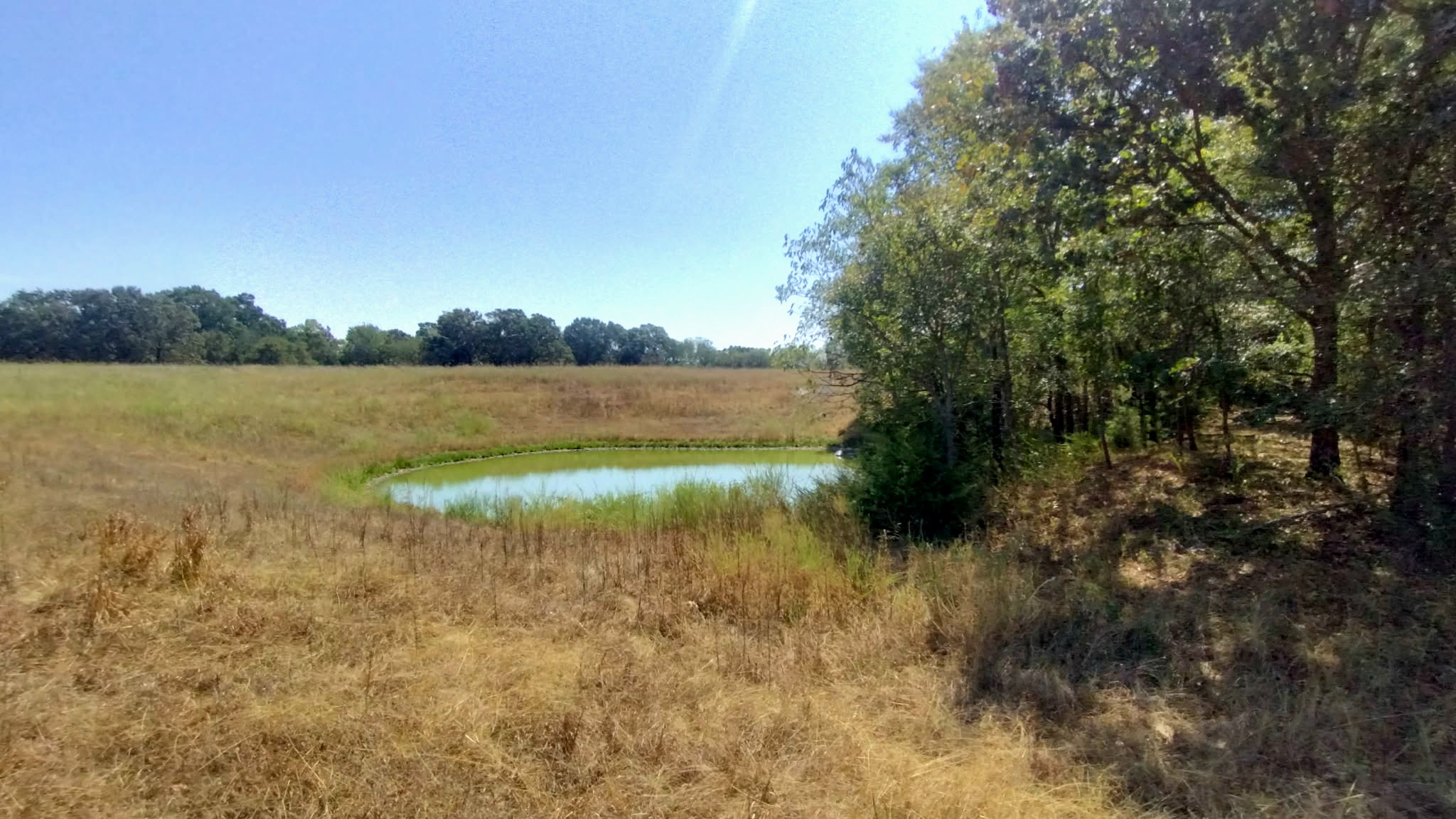 467353 W Hwy 62 Property Photo 47
