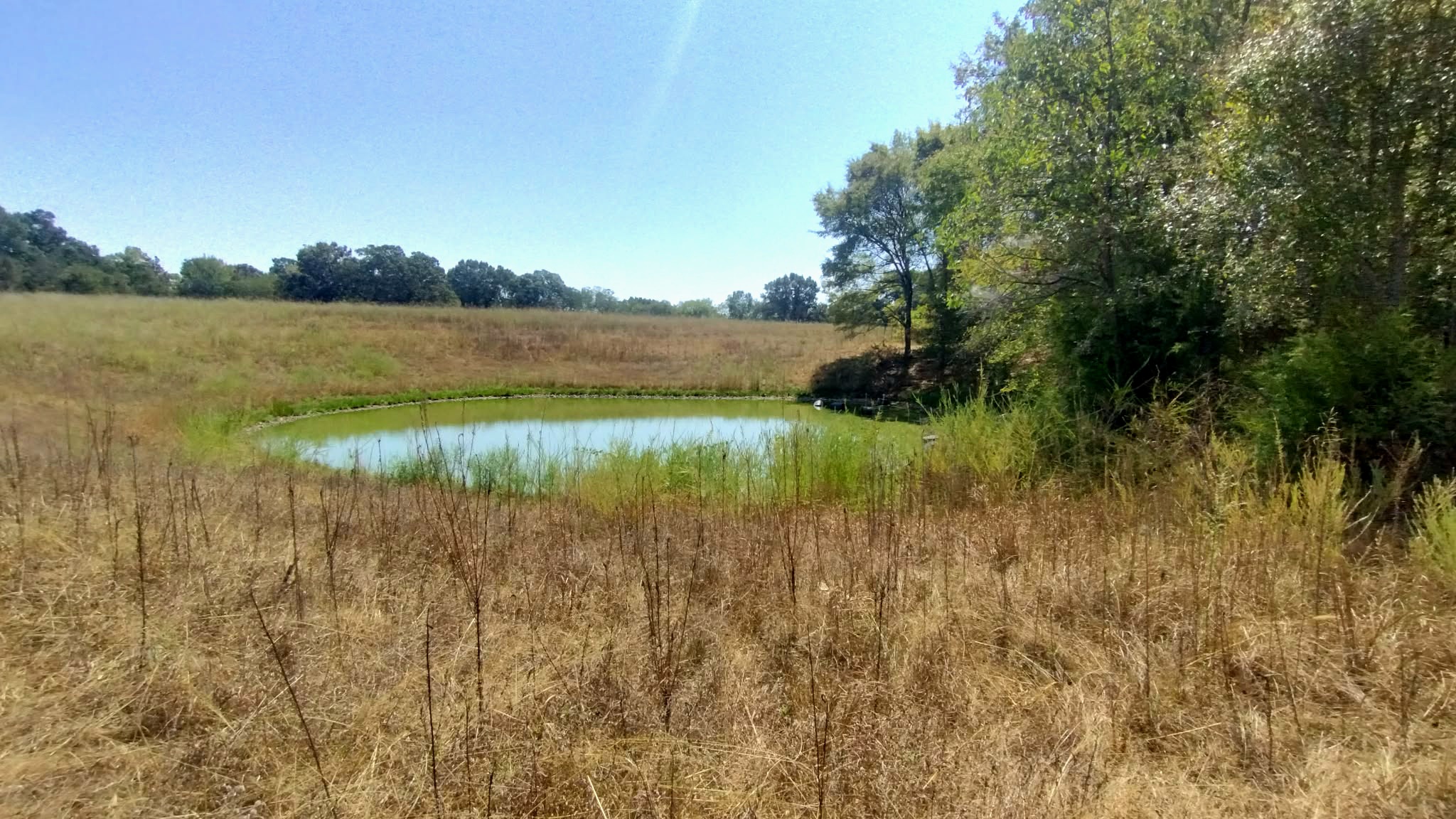 467353 W Hwy 62 Property Photo 48
