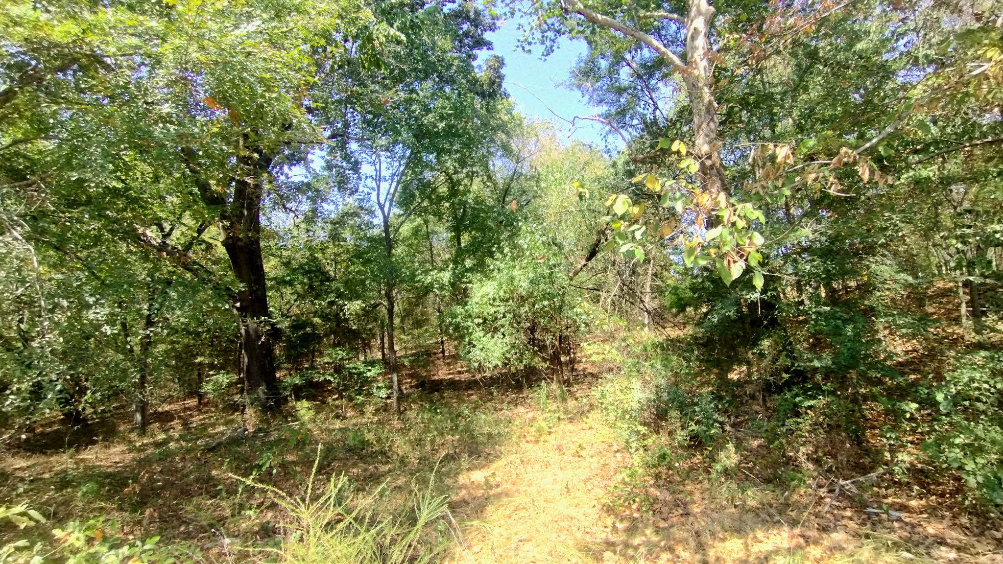 467353 W Hwy 62 Property Photo 49