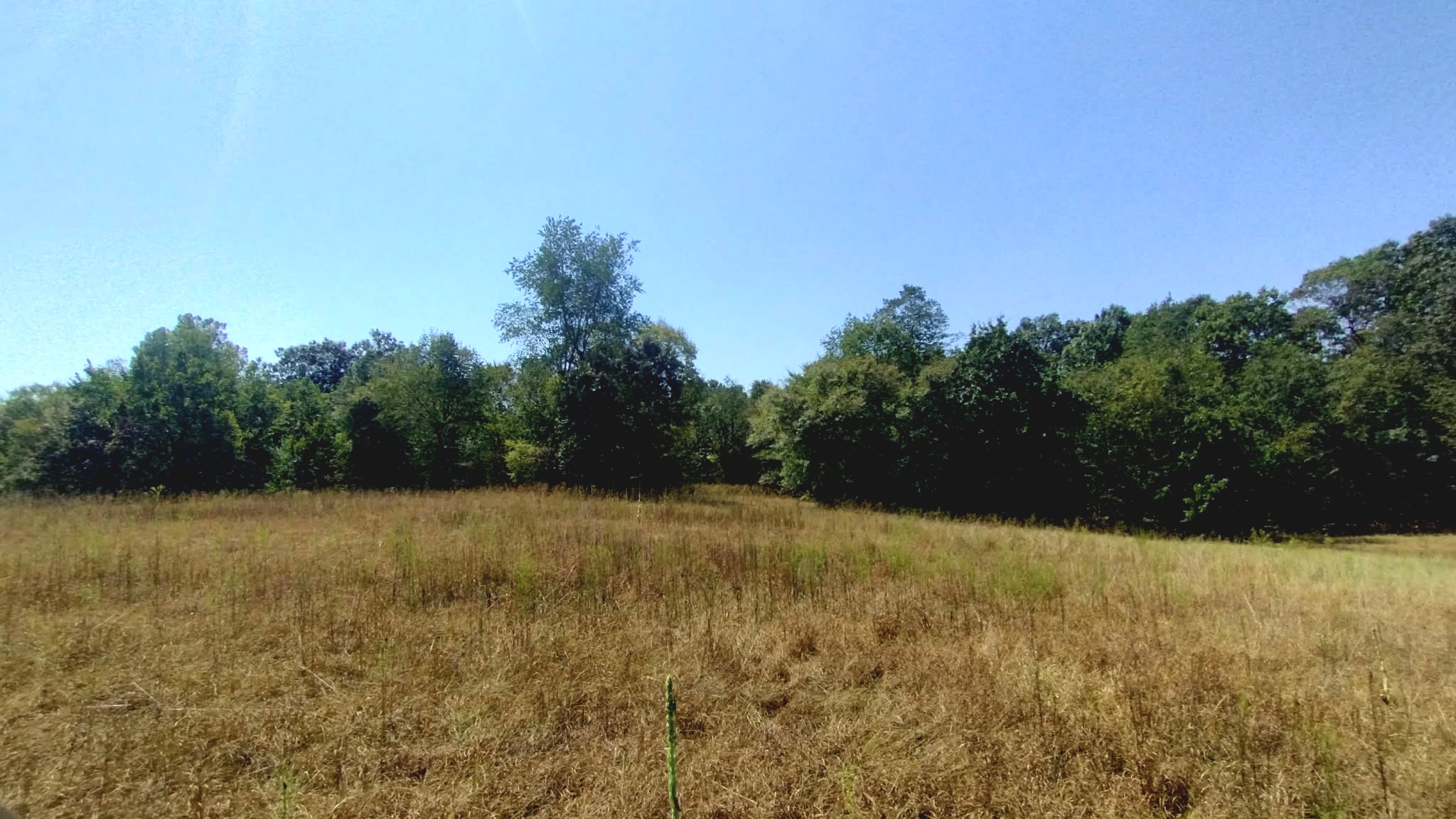 467353 W Hwy 62 Property Photo 50