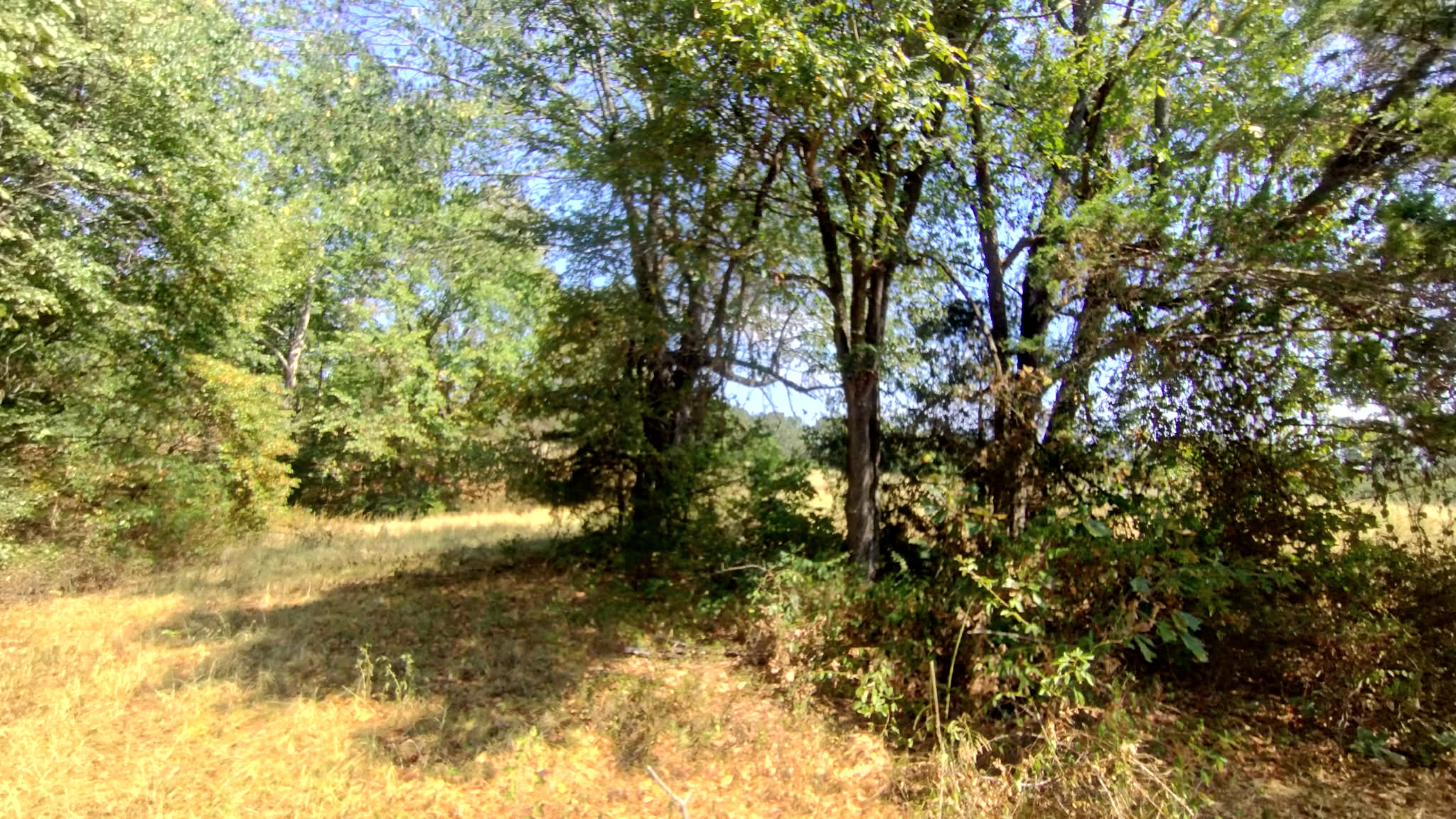 467353 W Hwy 62 Property Photo 51