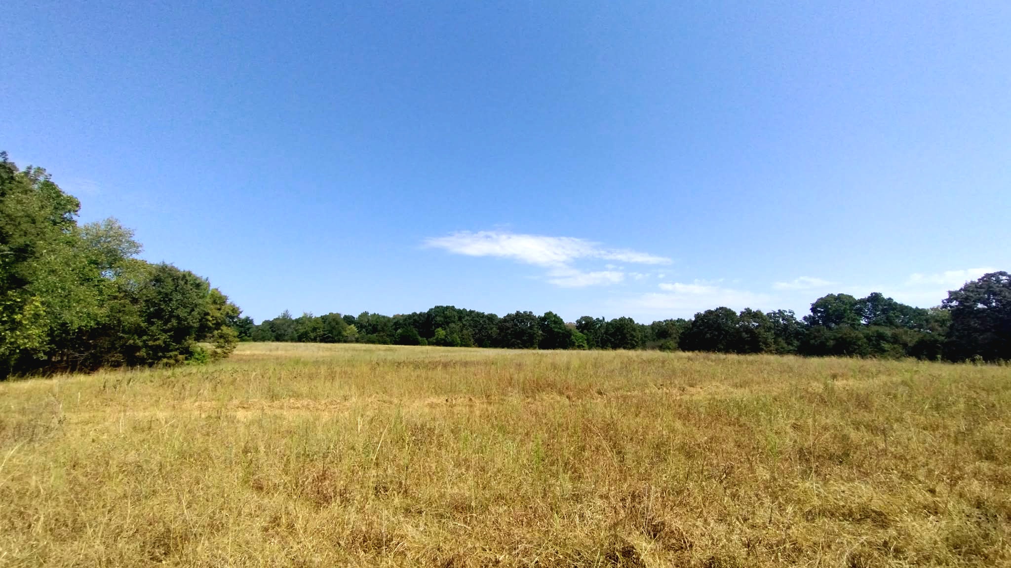 467353 W Hwy 62 Property Photo 52