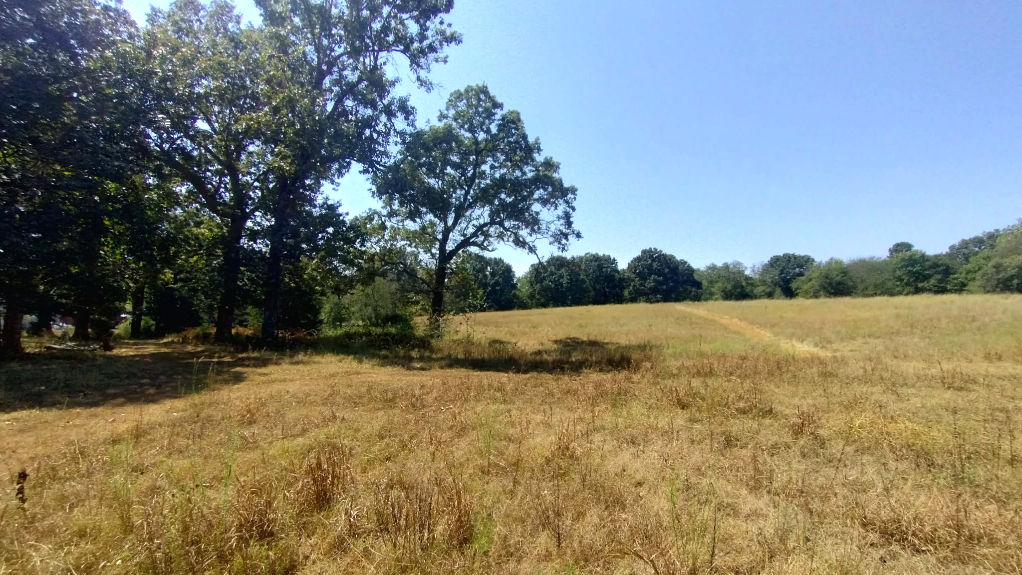467353 W Hwy 62 Property Photo 53
