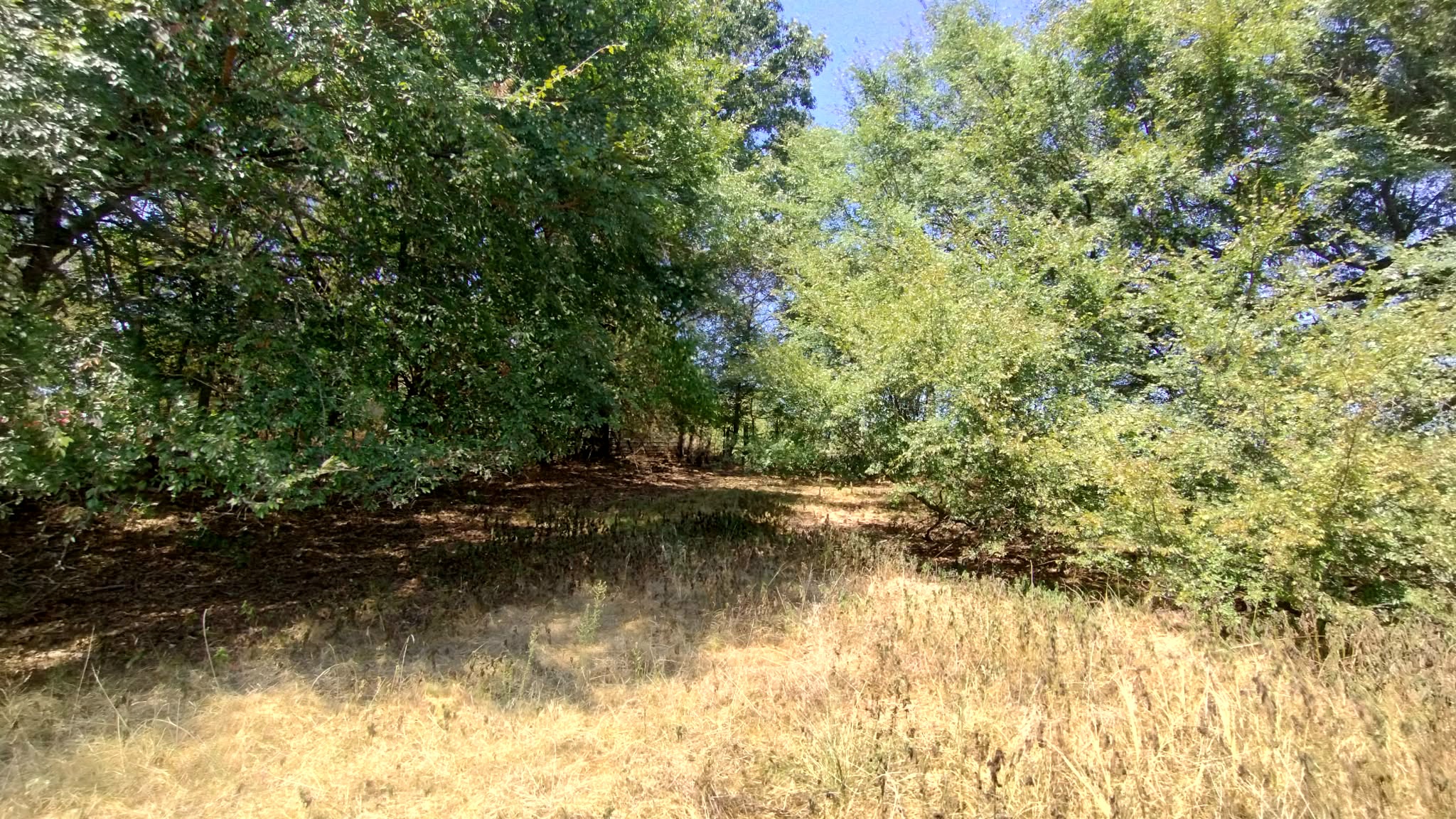 467353 W Hwy 62 Property Photo 54