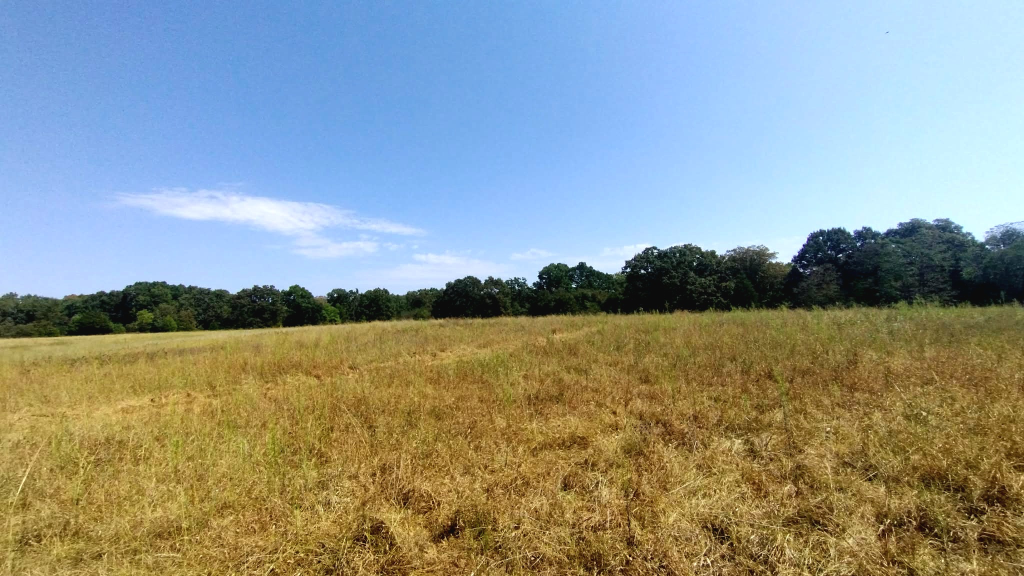 467353 W Hwy 62 Property Photo 55