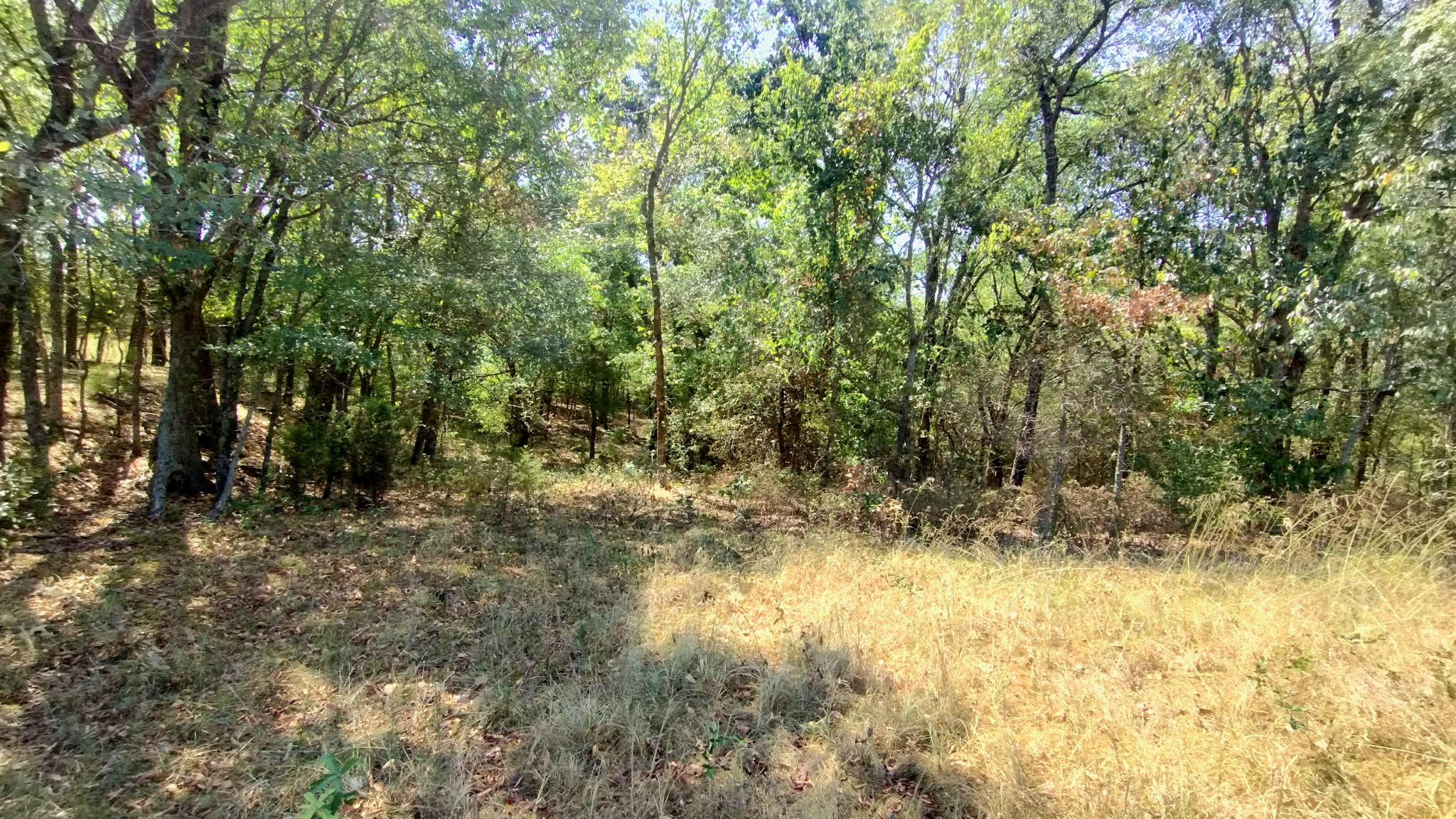 467353 W Hwy 62 Property Photo 56