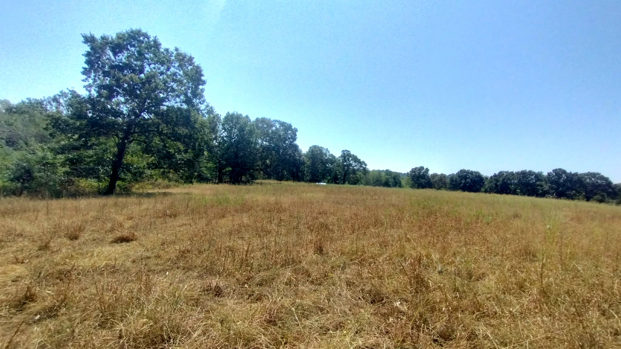 467353 W Hwy 62 Property Photo 57