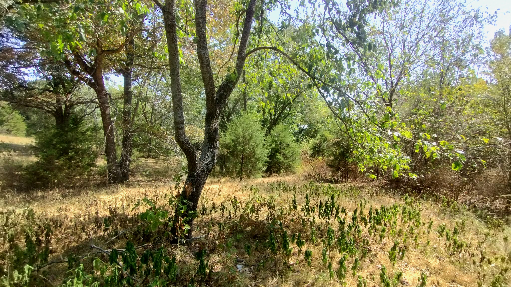 467353 W Hwy 62 Property Photo 58