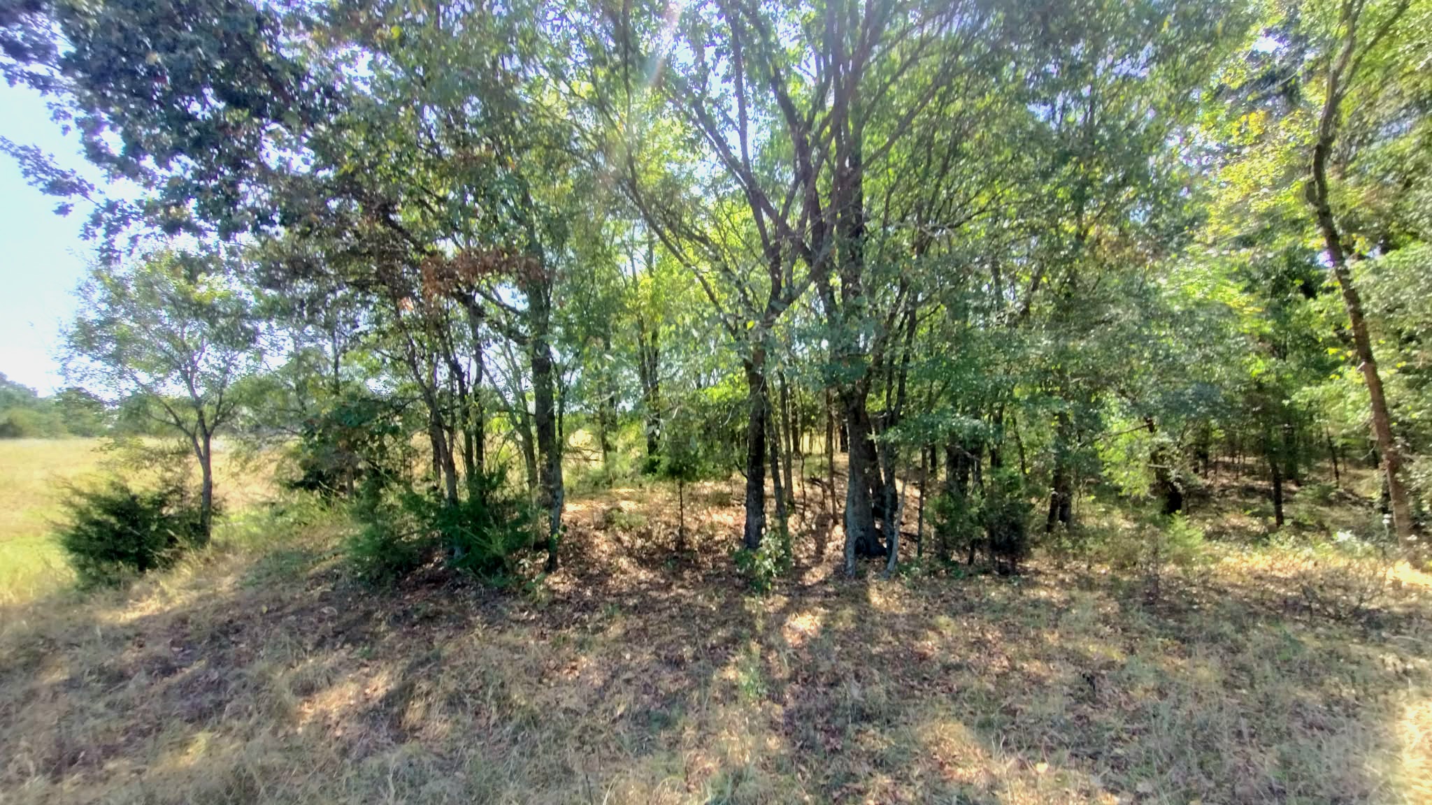 467353 W Hwy 62 Property Photo 59