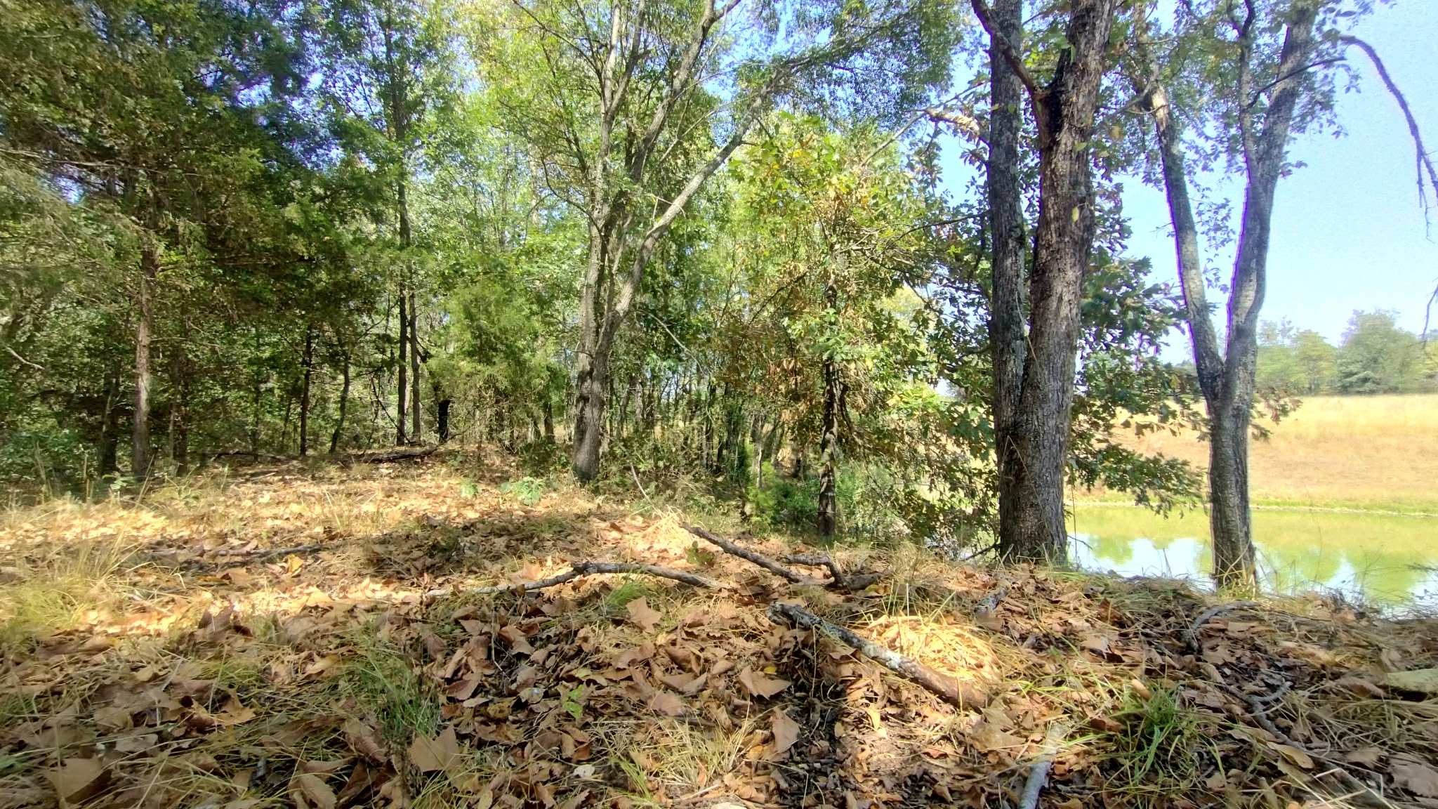 467353 W Hwy 62 Property Photo 61