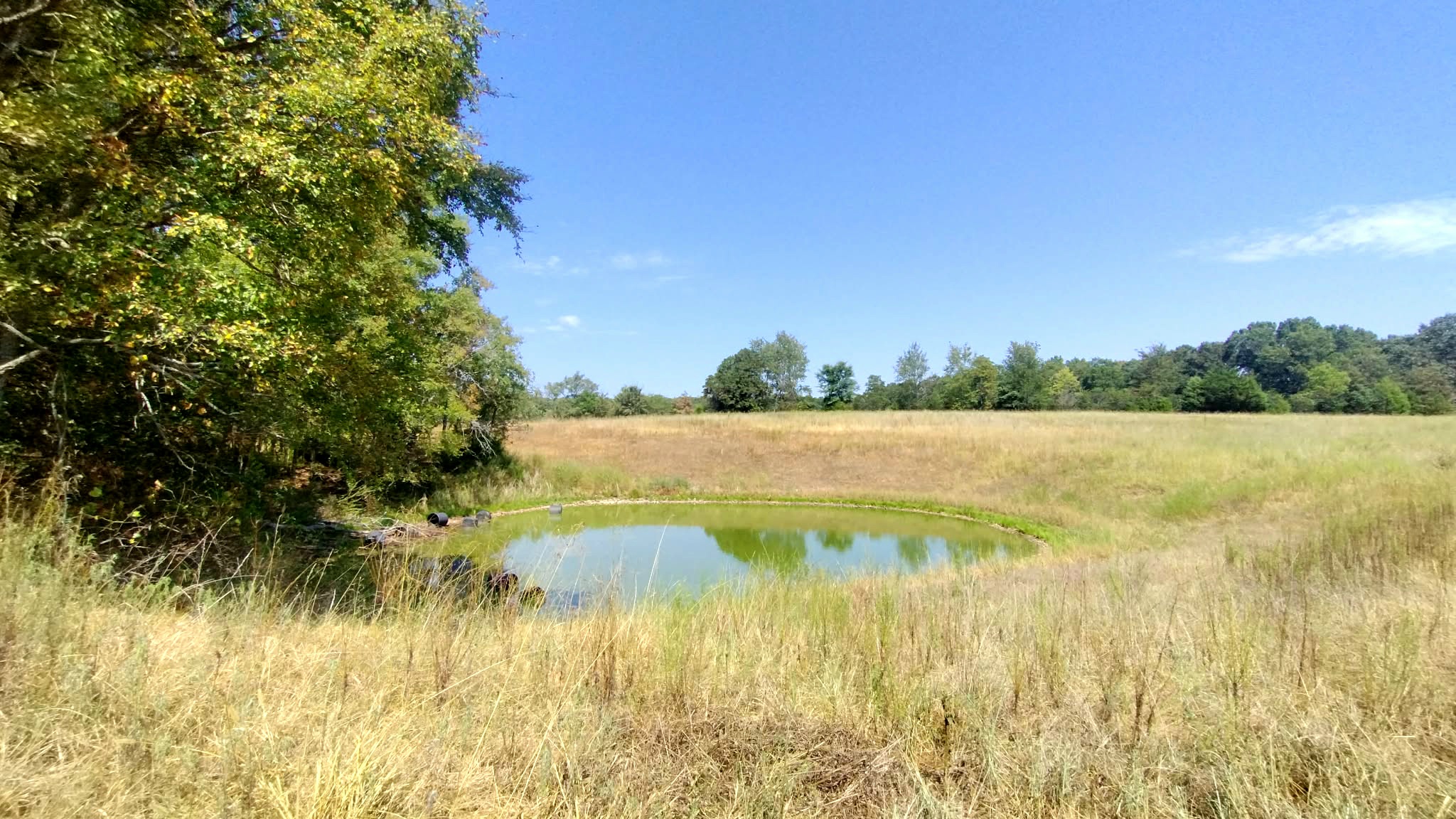 467353 W Hwy 62 Property Photo 62