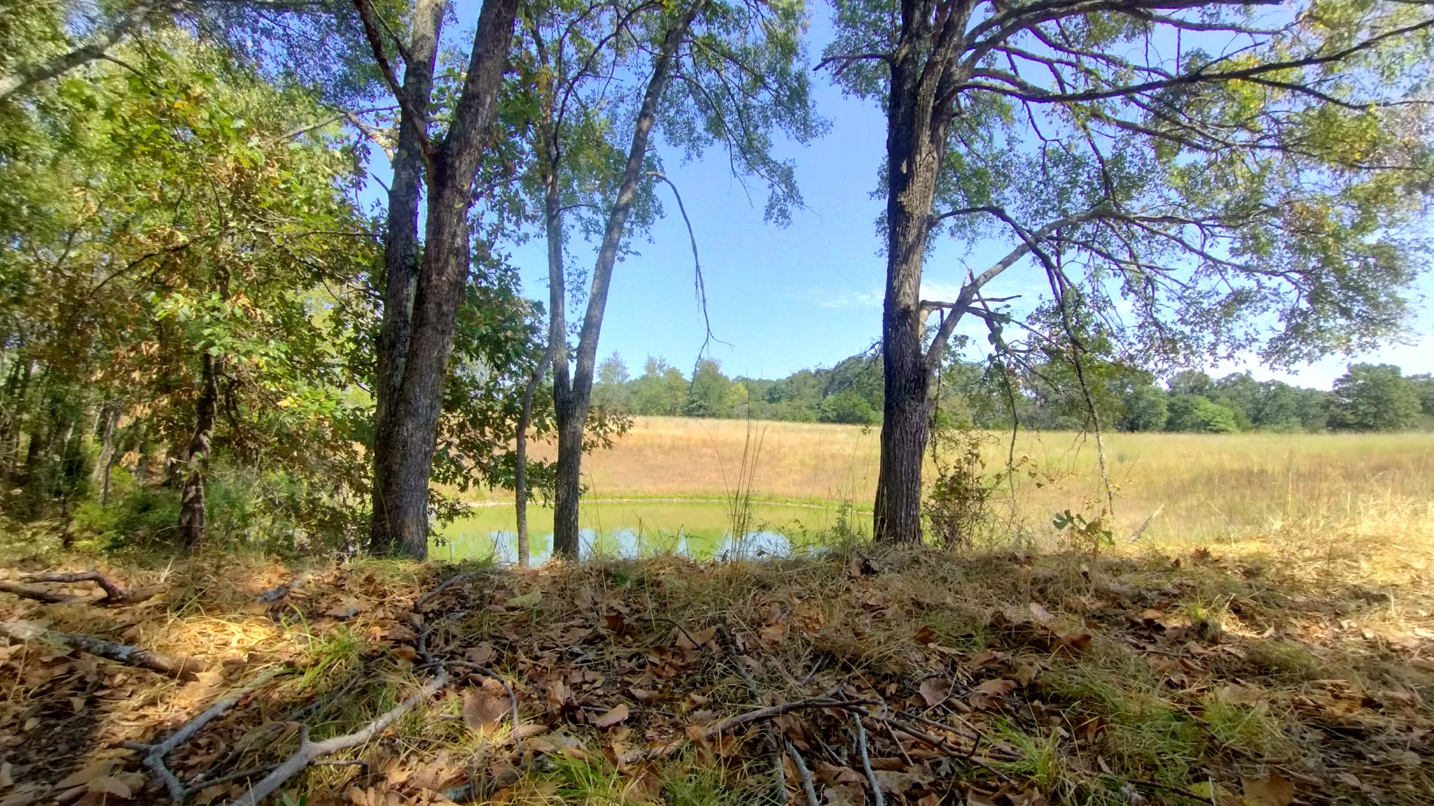 467353 W Hwy 62 Property Photo 63
