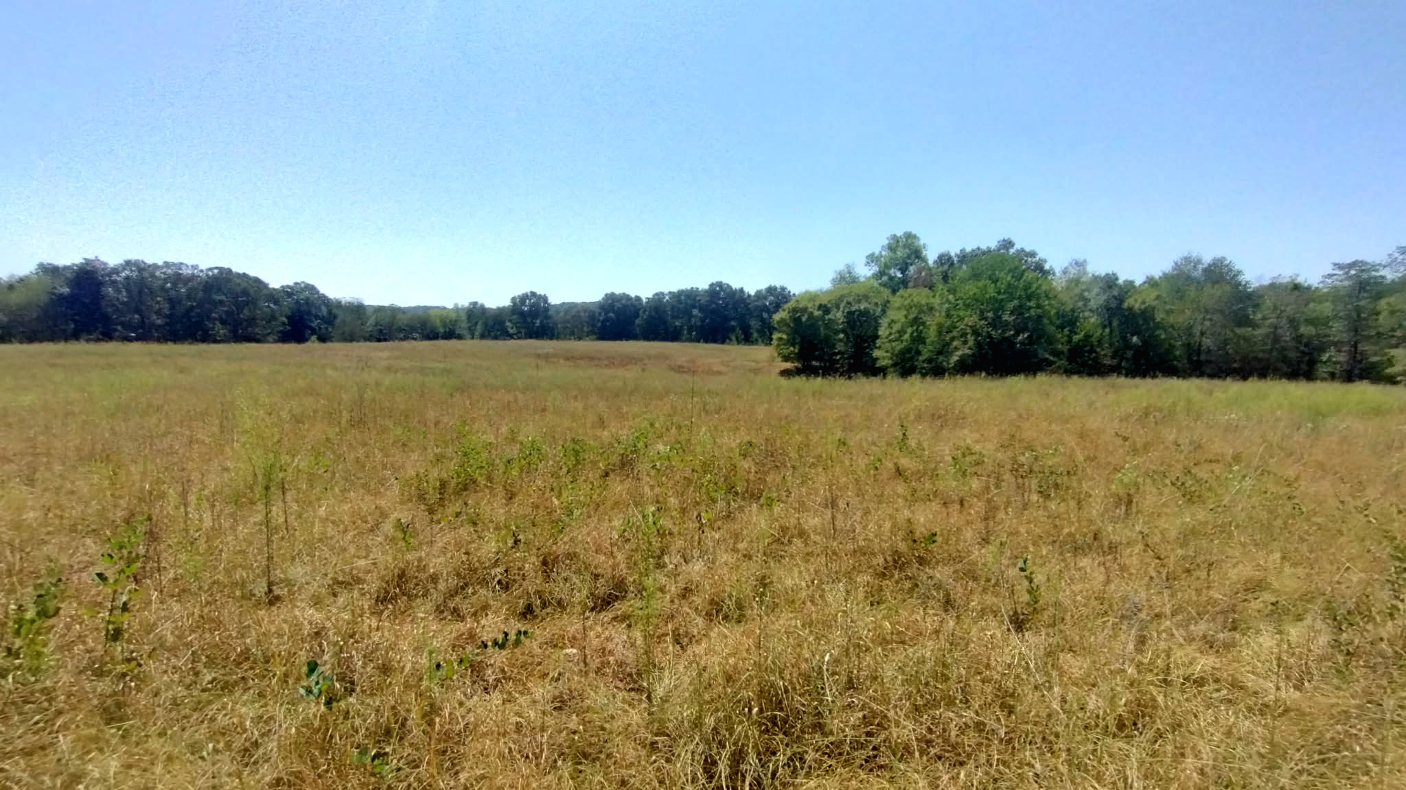 467353 W Hwy 62 Property Photo 65