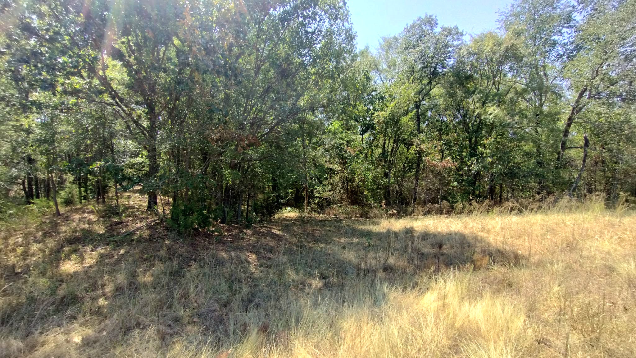 467353 W Hwy 62 Property Photo 66