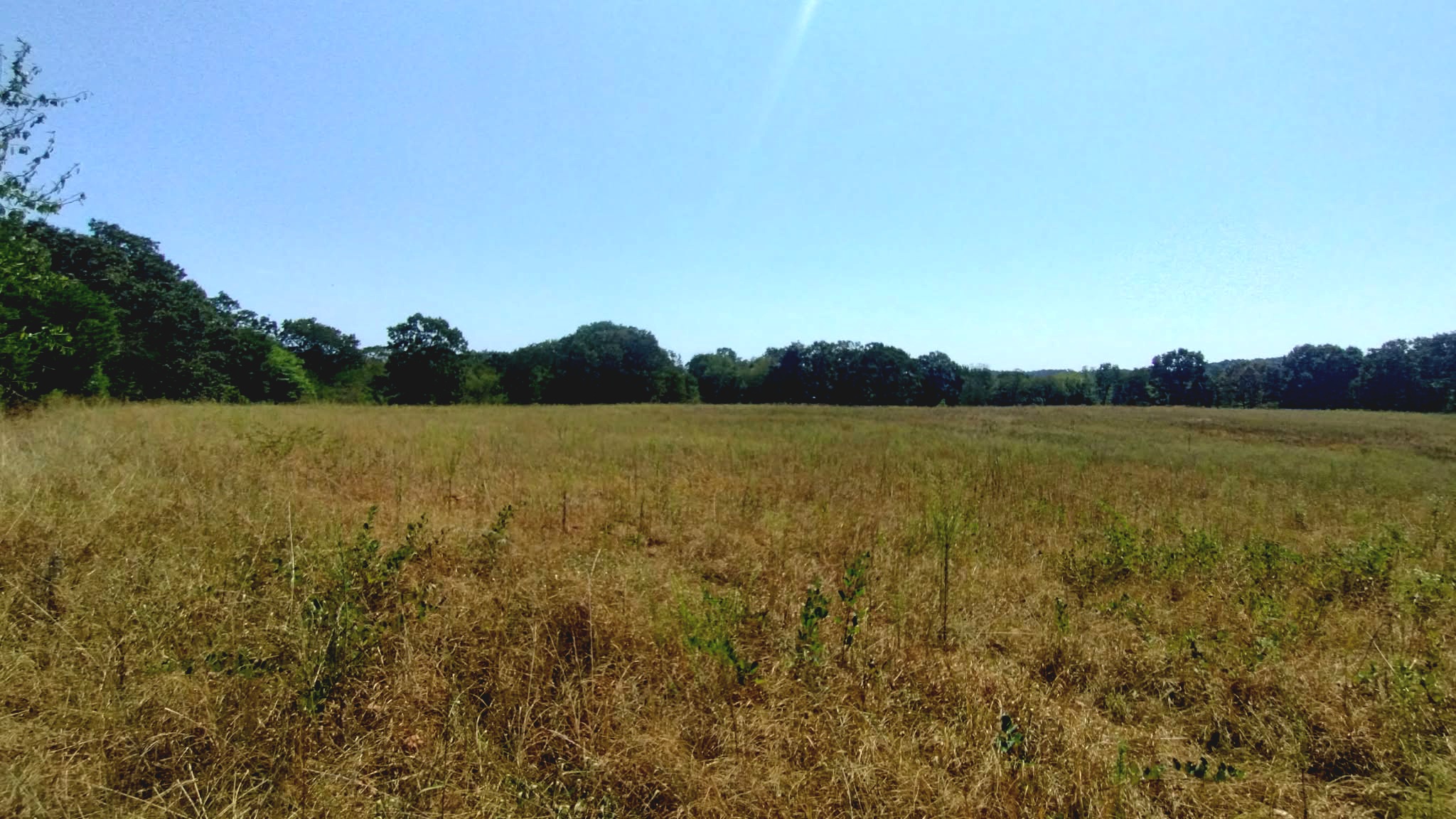 467353 W Hwy 62 Property Photo 67