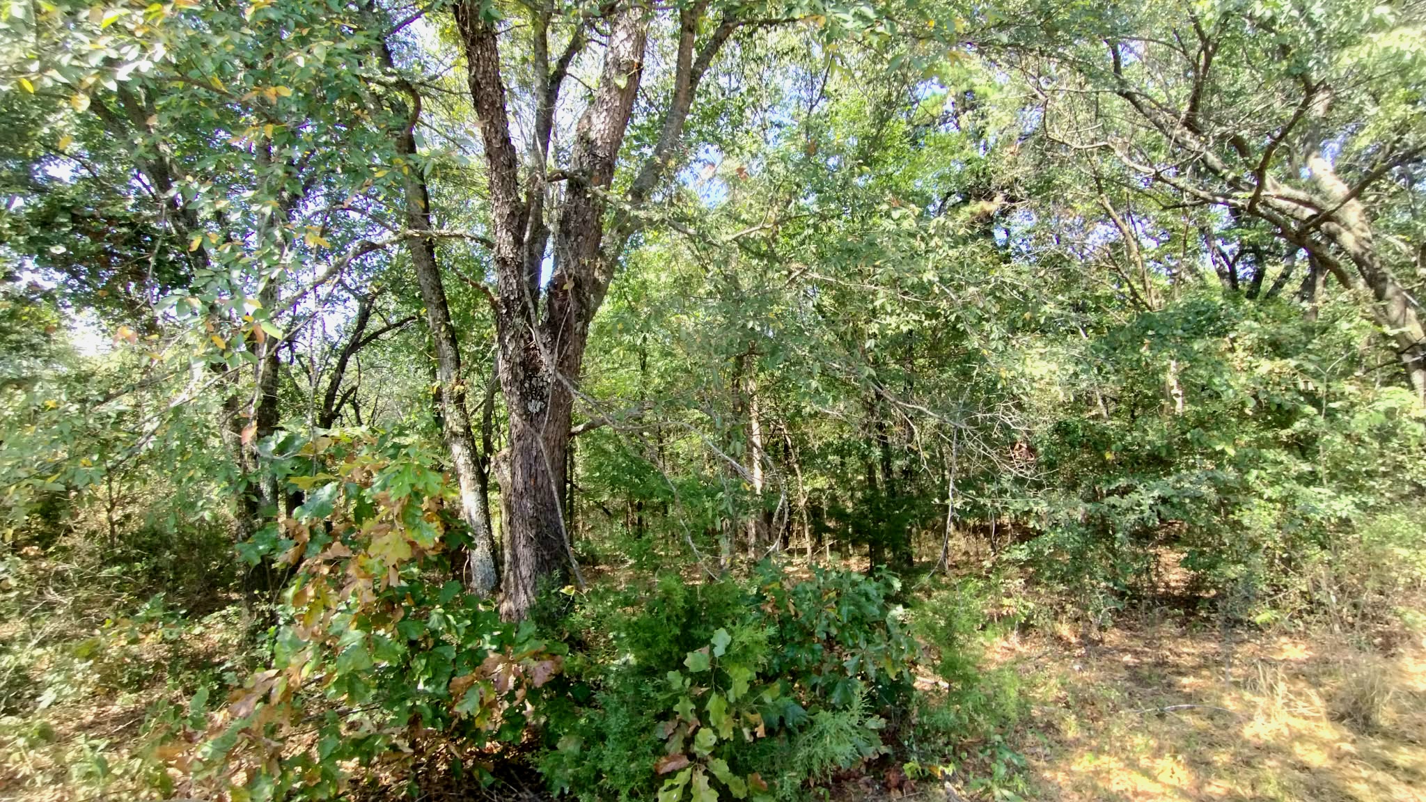 467353 W Hwy 62 Property Photo 68