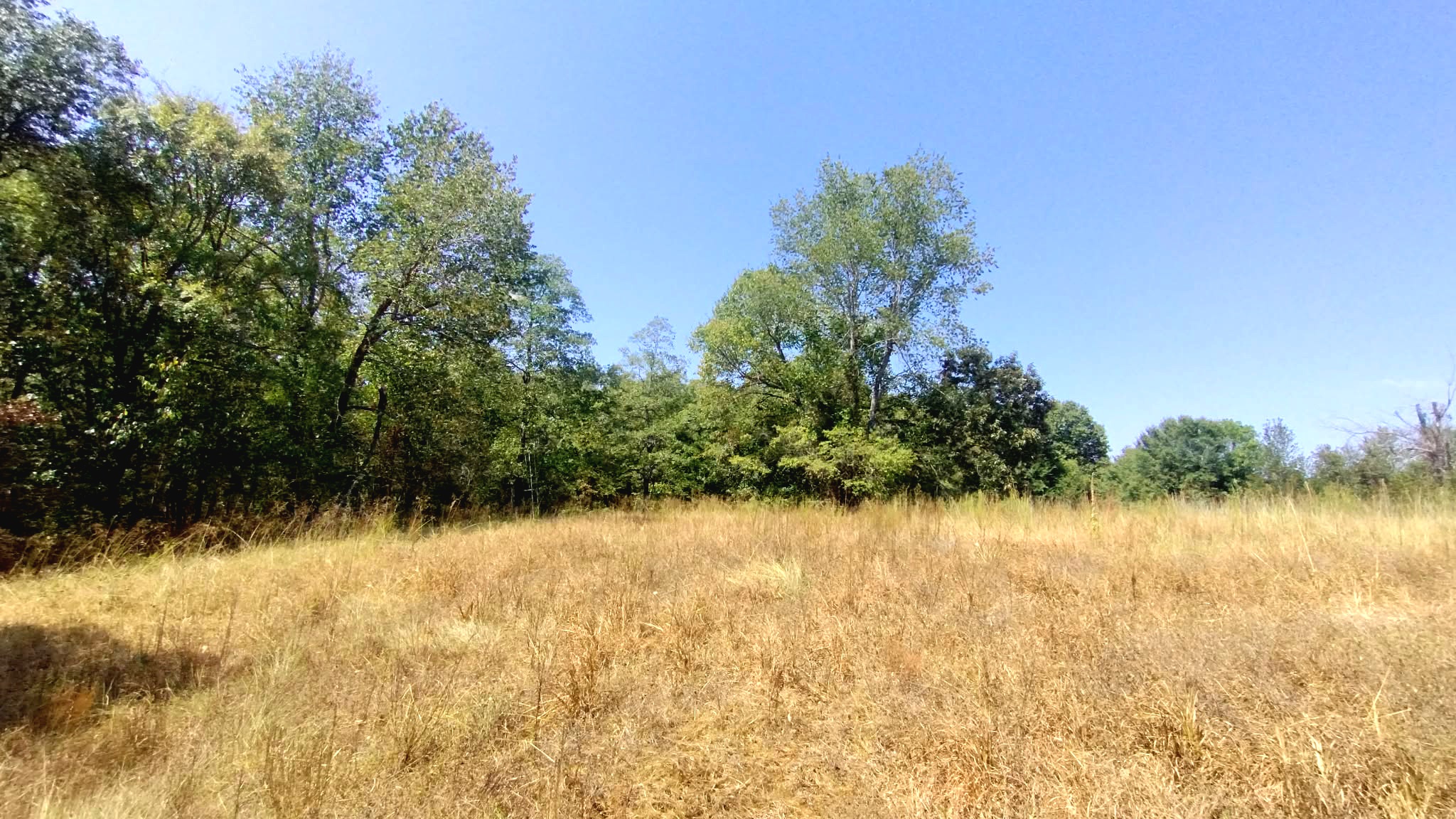 467353 W Hwy 62 Property Photo 70