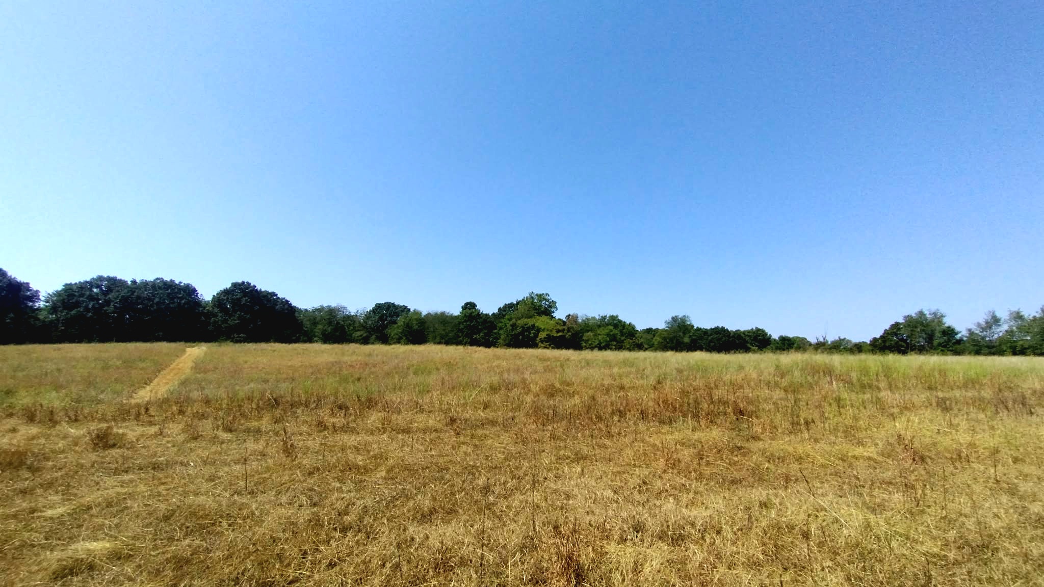 467353 W Hwy 62 Property Photo 72