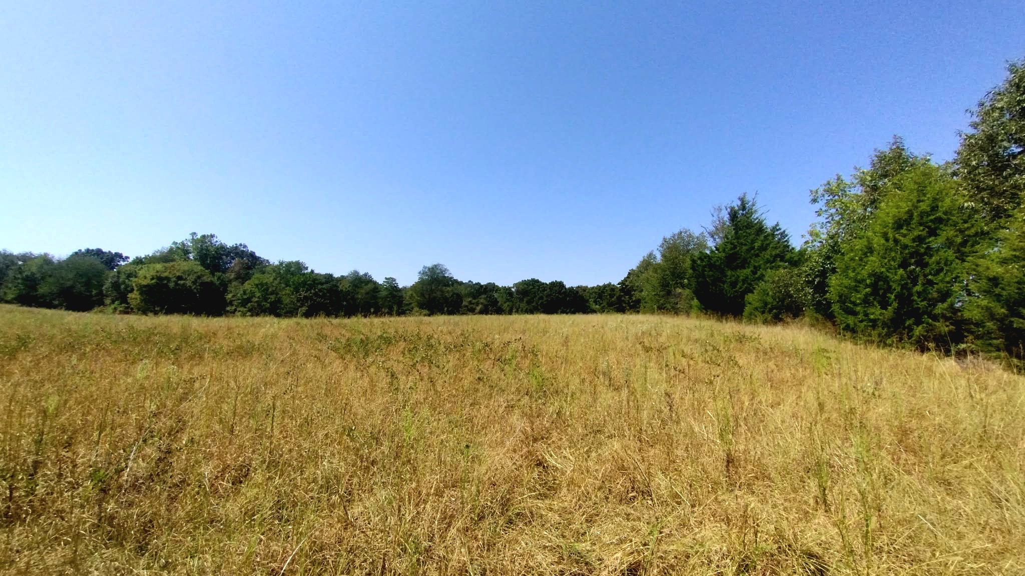 467353 W Hwy 62 Property Photo 73
