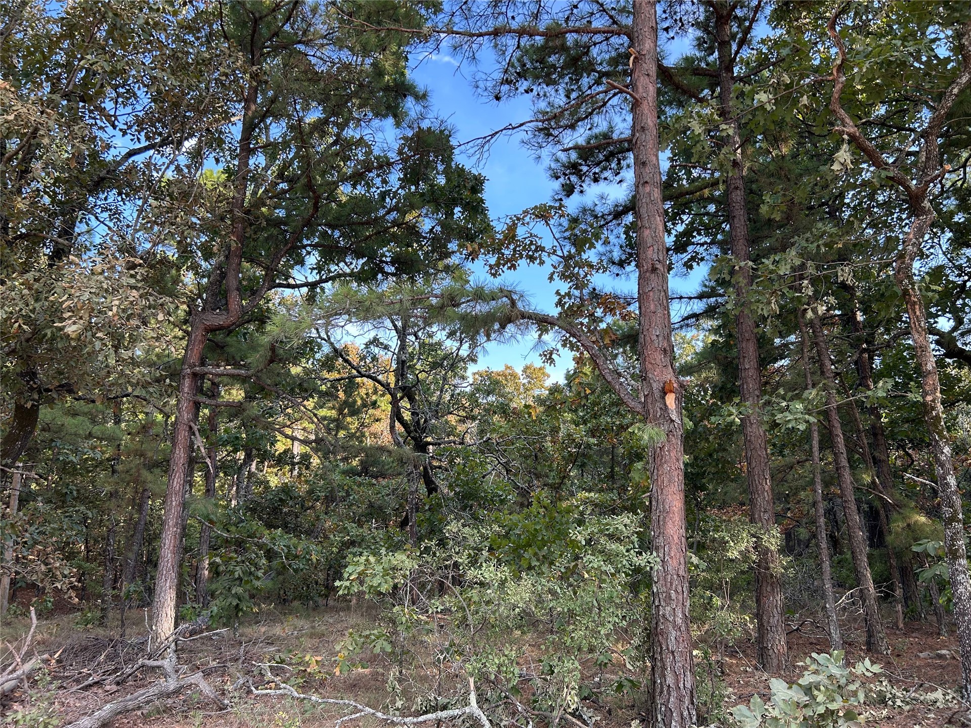Hwy 2 Property Photo 1