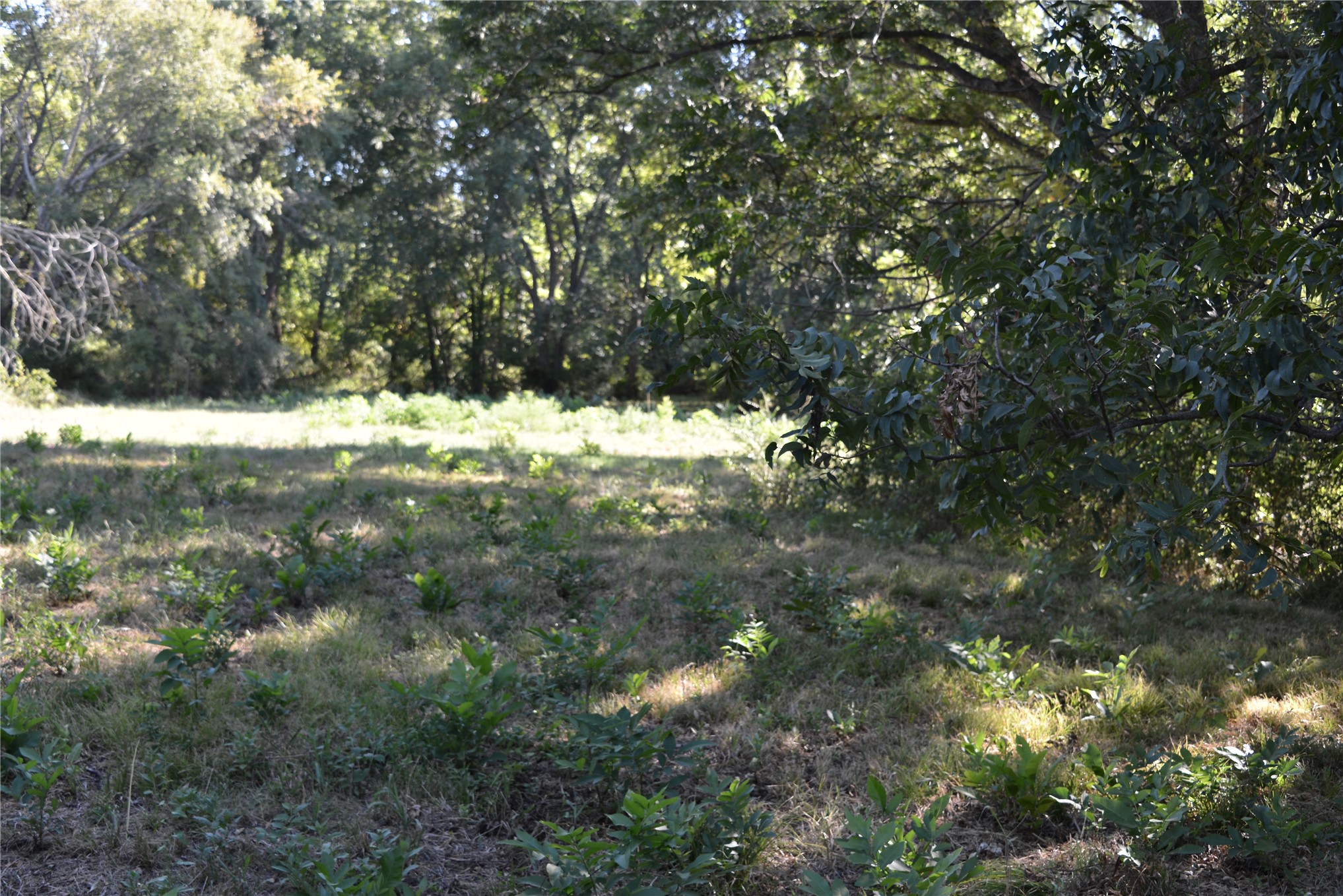 C. Street Property Photo 1