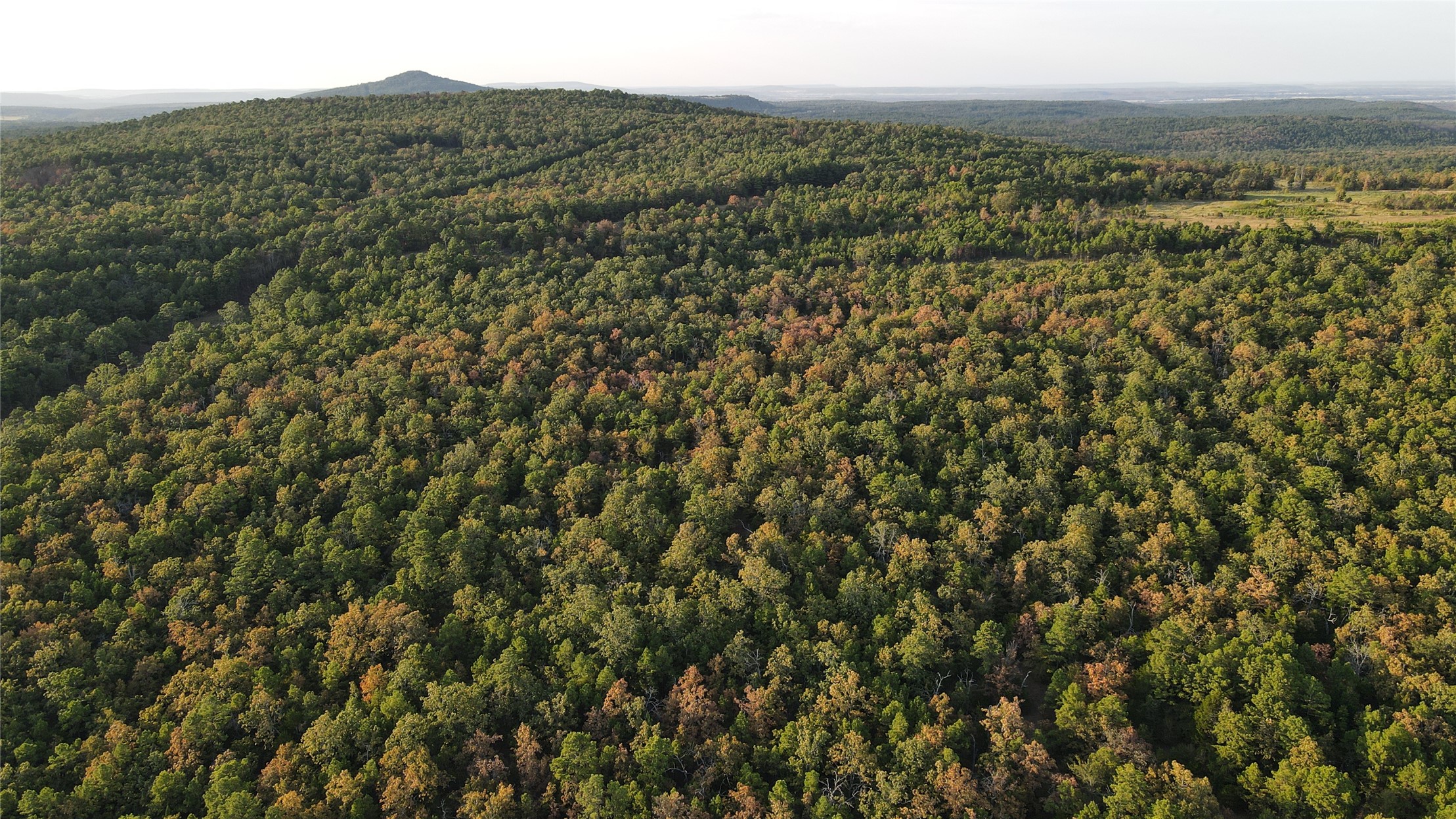 Hwy 2 Property Photo 10