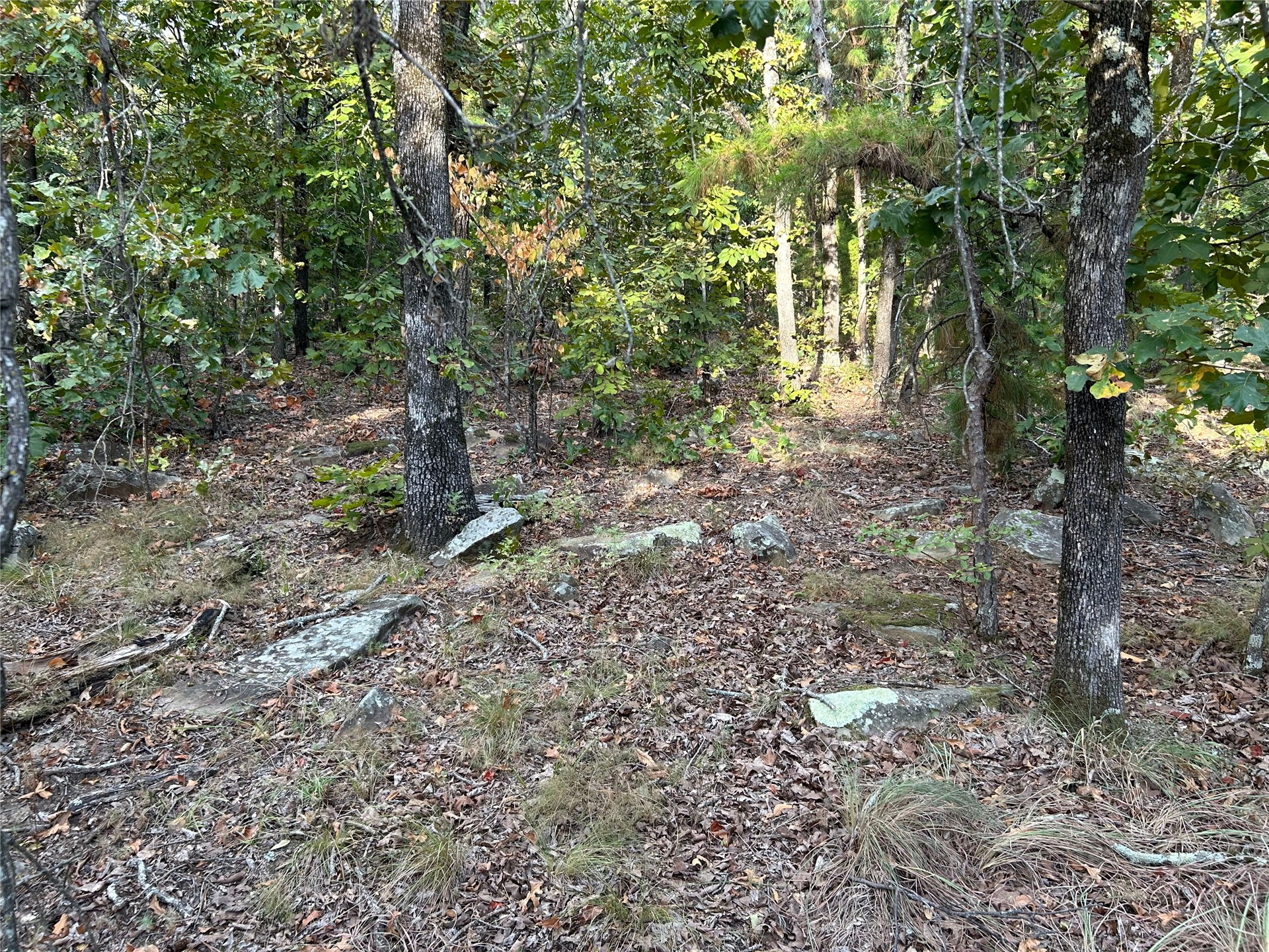 Hwy 2 Property Photo 3