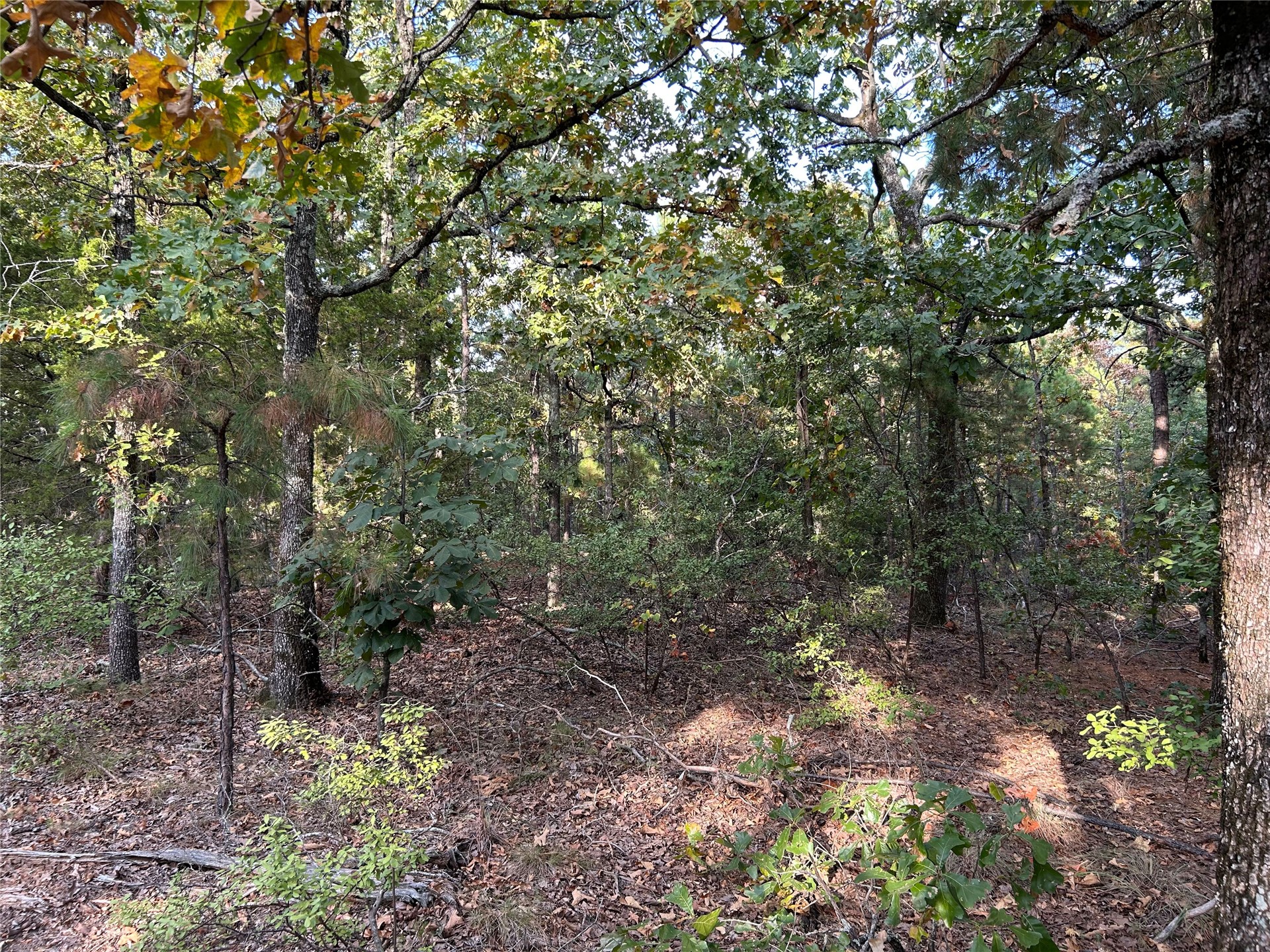 Hwy 2 Property Photo 8