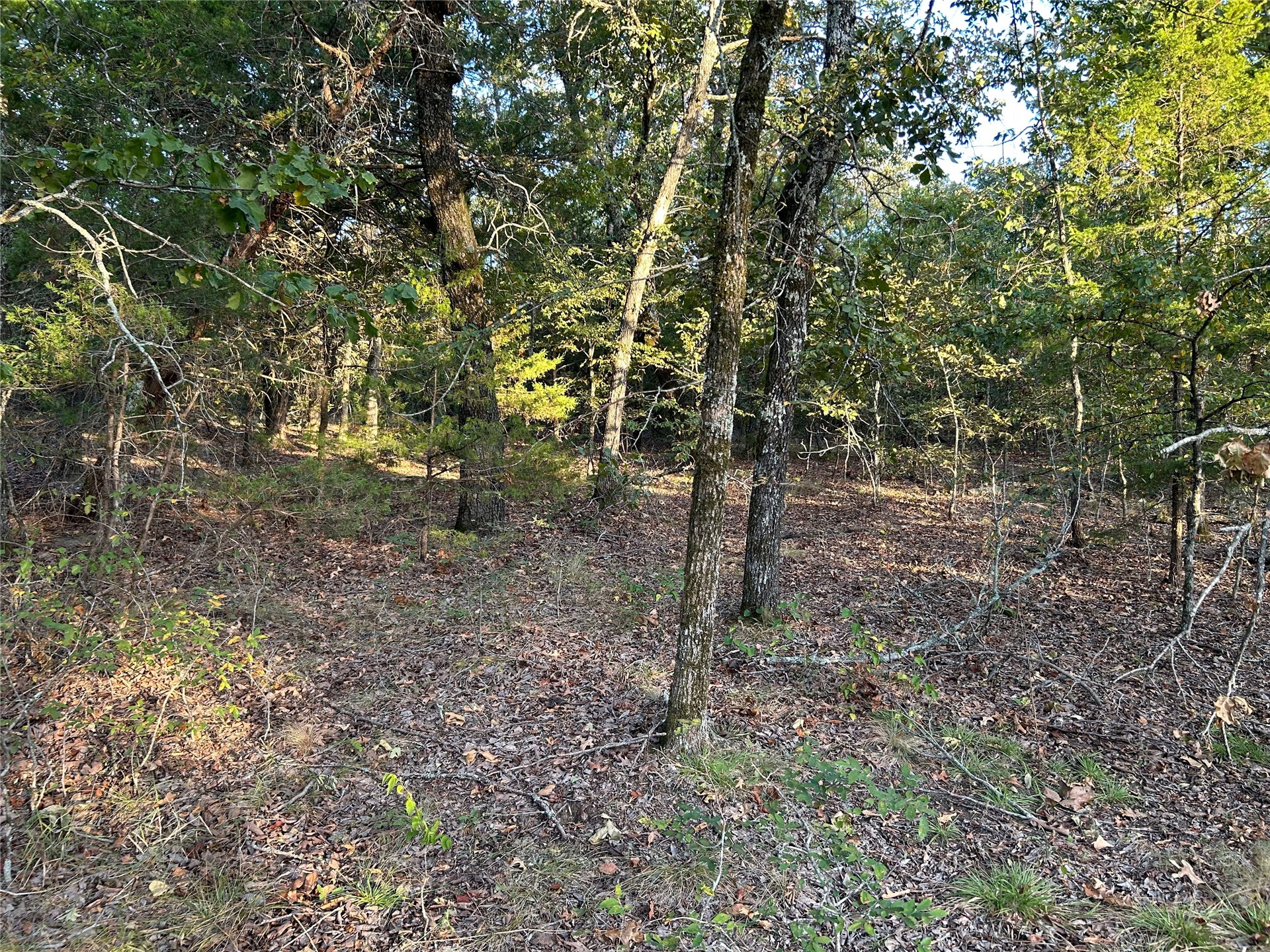 Hwy 2 Property Photo 16