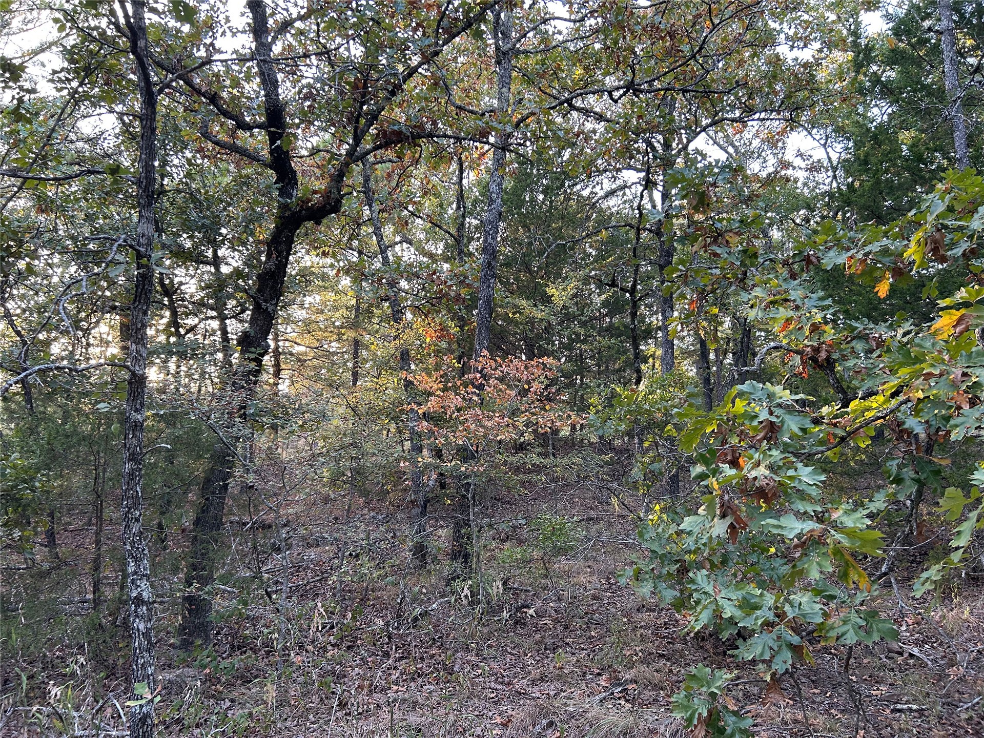 Hwy 2 Property Photo 17