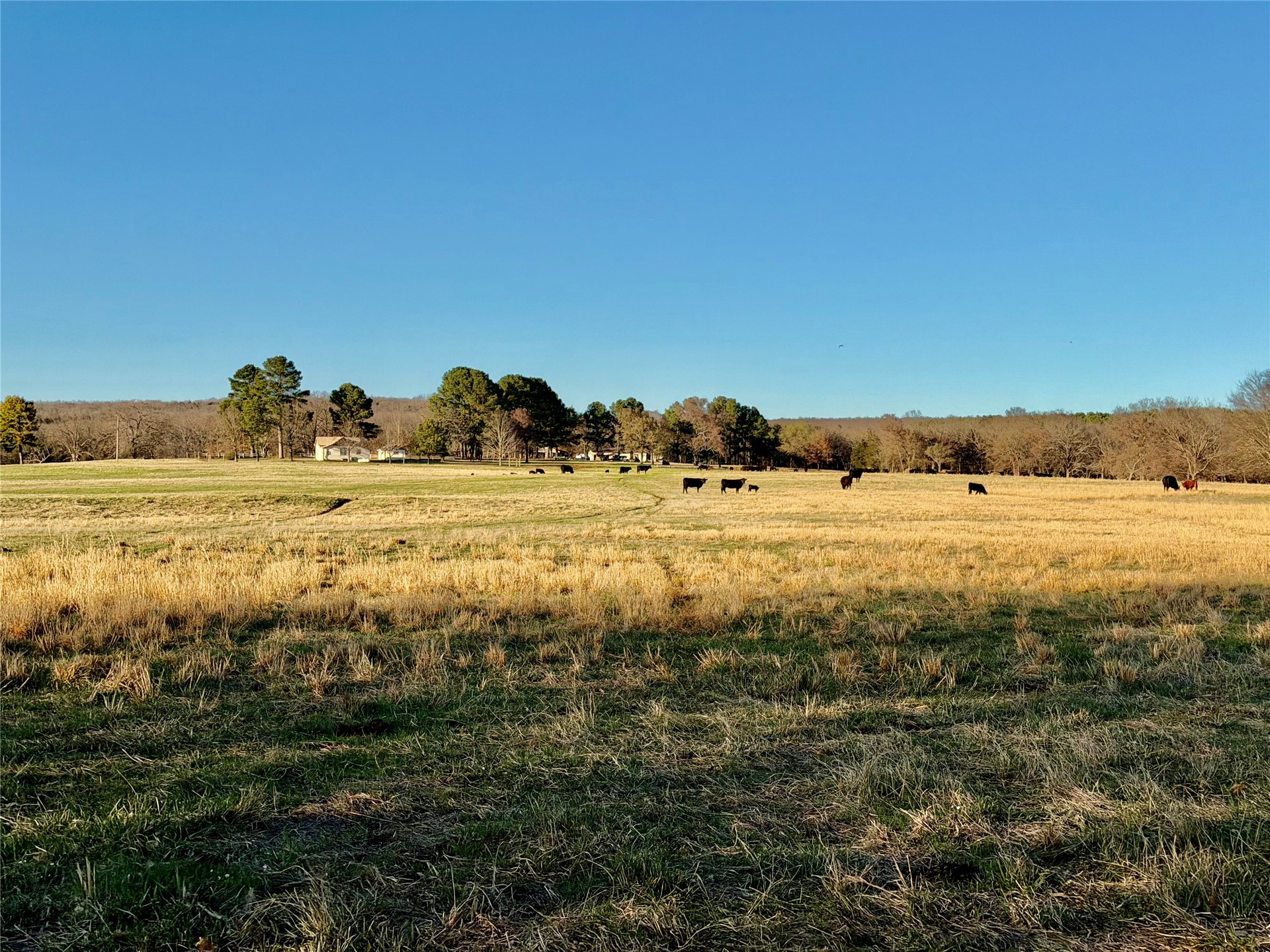 104001 S 4480 Road Property Photo 10